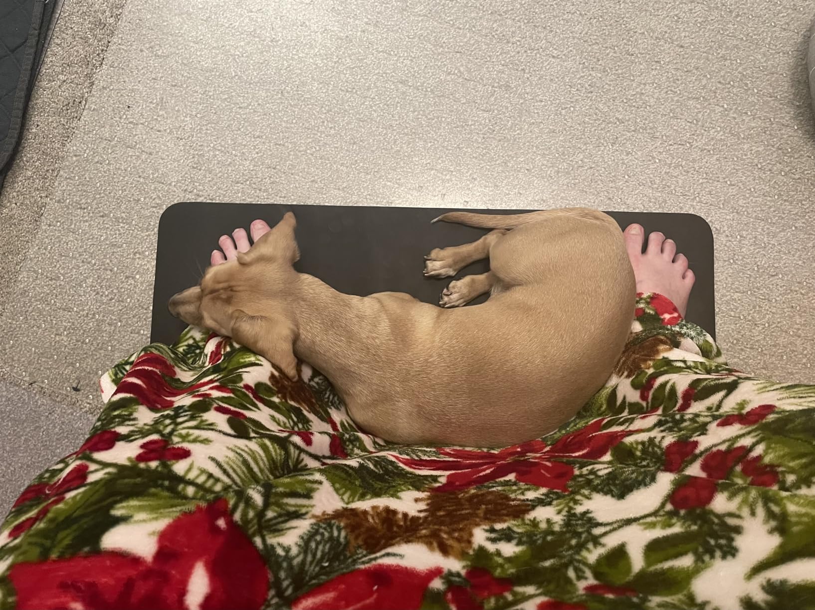 Ground Well Grounding Mat for Feet, Grounding Pad for Stress, Pain, Inflammation & Wellness Support, 26.7x10in Portable Size Grounding Mat, Indoor Grounding at Home, Office. 15Ft Cord Included customer photo 2