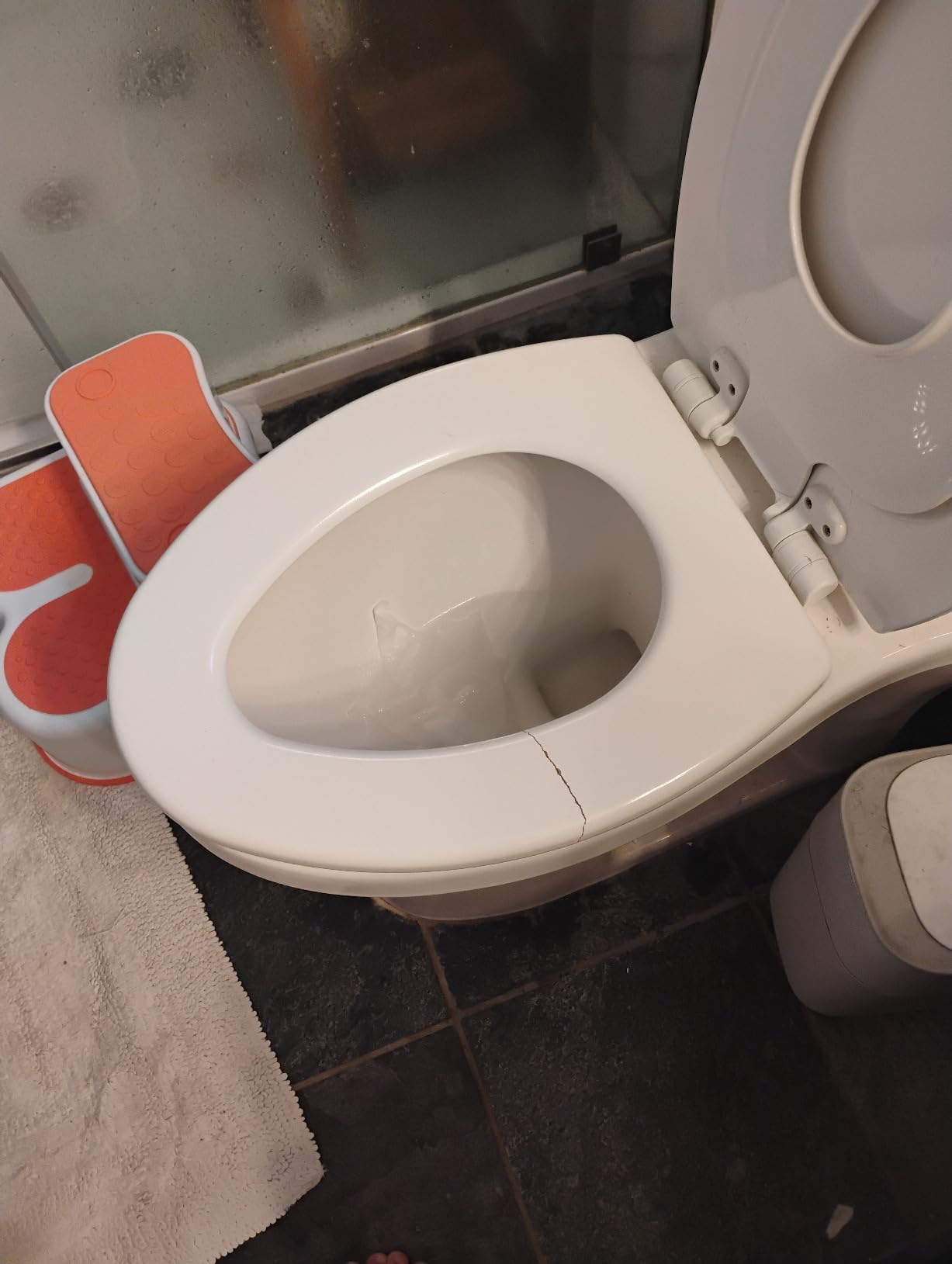Mayfair NextStep2 Toilet Seat with Built-In Potty Training Seat, Slow-Close, Removable that will Never Loosen, Elongated, White customer photo 2