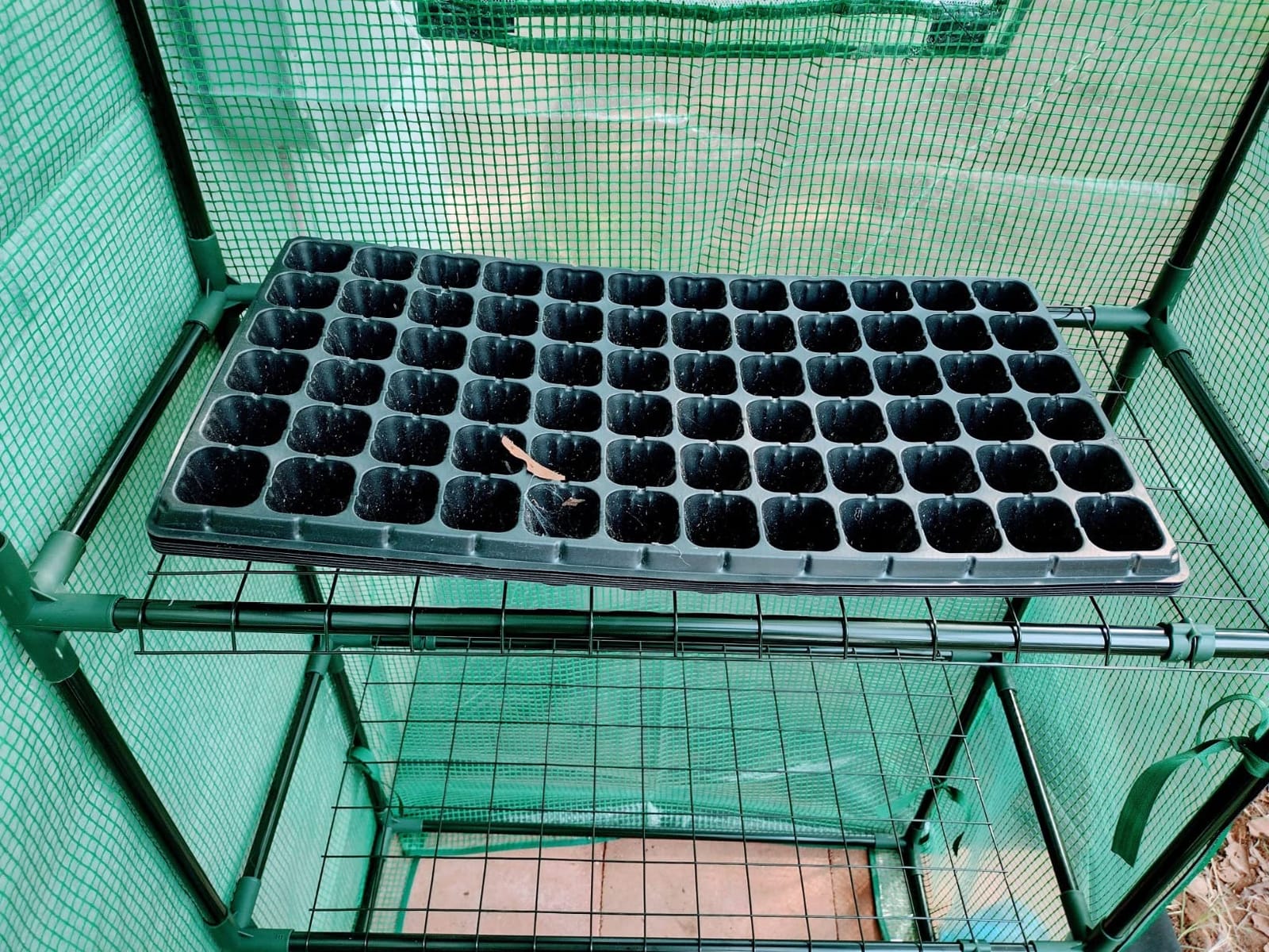 Portable Walk-in Greenhouse for Outdoors, 56x30x76 Plant House with Shelves customer photo 1