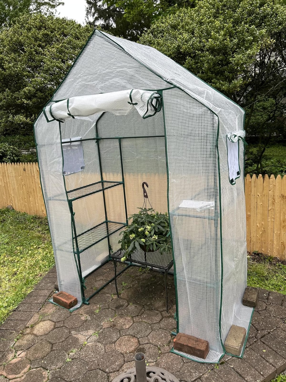 56x30x76 Mini Walk-in Greenhouse, Portable Plant House with 3-Tier Shelves | PE Cover, Roll-Up Door, Steel Frame, Stakes and Ropes for Seedlings, Flowers and Seasonal Plant Protection customer photo 2