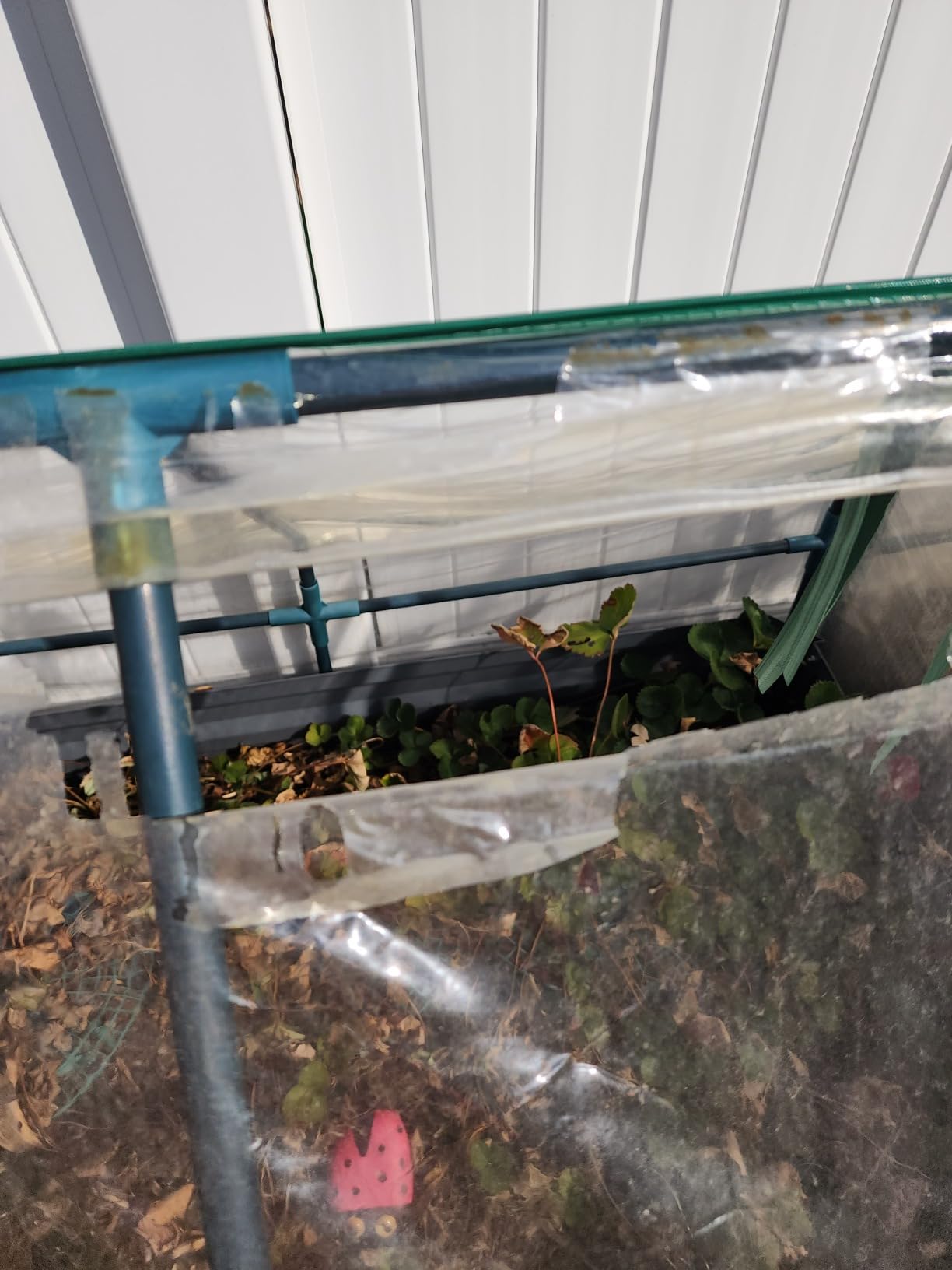 Quictent Raised Garden Bed with Cover 4x2.5x1 FT customer photo 1