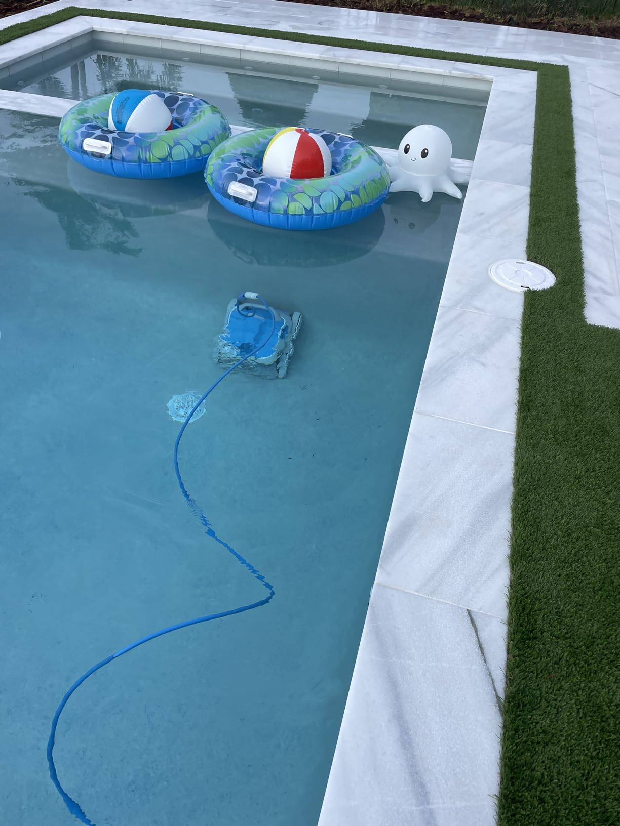 Dolphin Proteus DX5i Wi-Fi Automatic Robotic Pool Vacuum Cleaner, Wall Climbing, Waterline Scrubber Brush, Ideal for In-Ground Pool up to 50 FT in Length customer photo 1