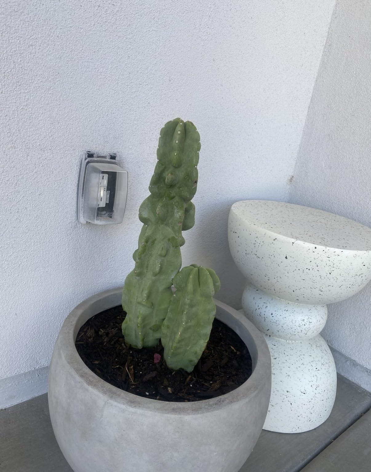 Kante Large Round Bowl Charcoal Concrete Planter 20