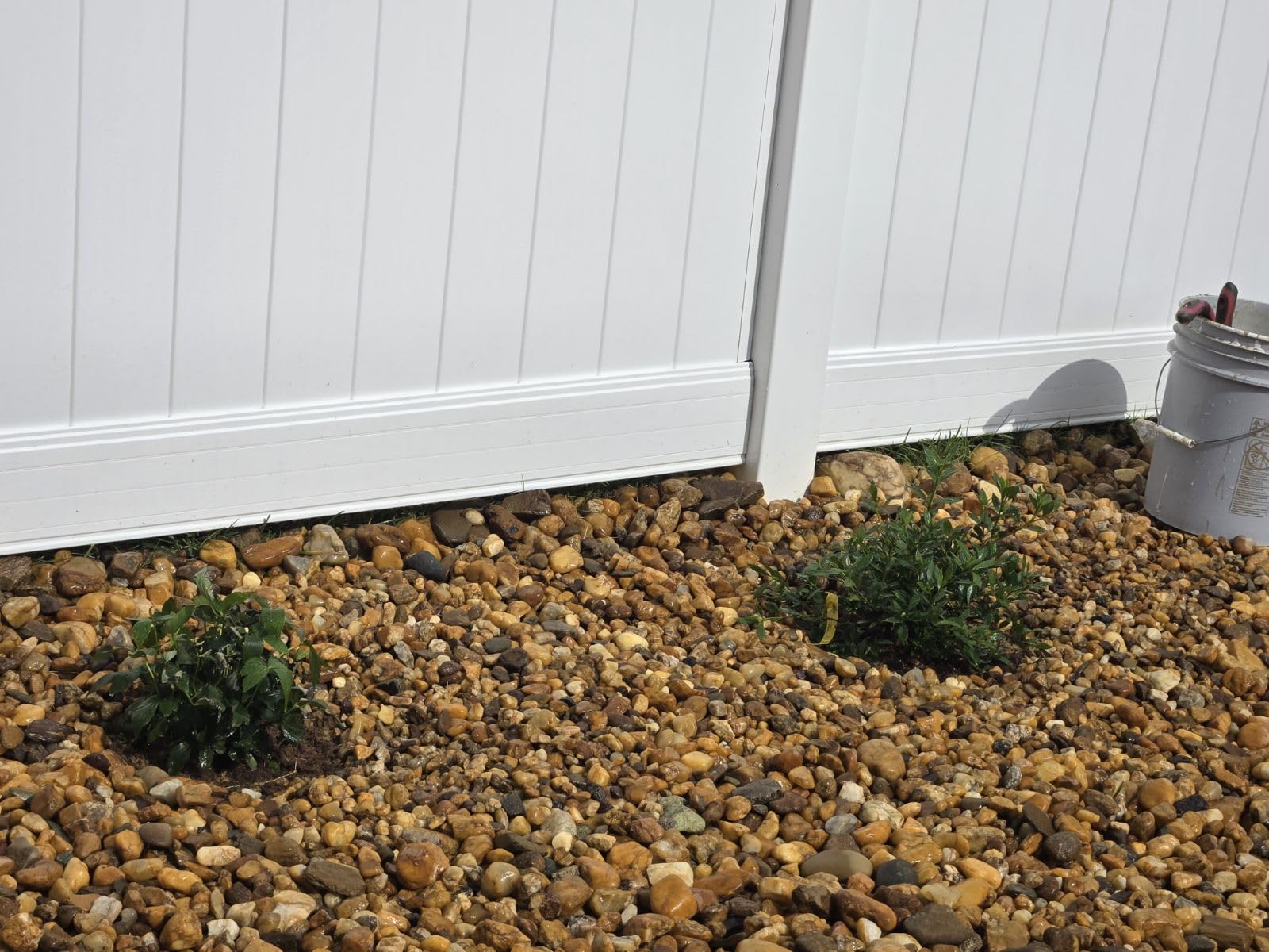 Southern Living 2 Gal. Obsession Nandina Shrub customer photo 1