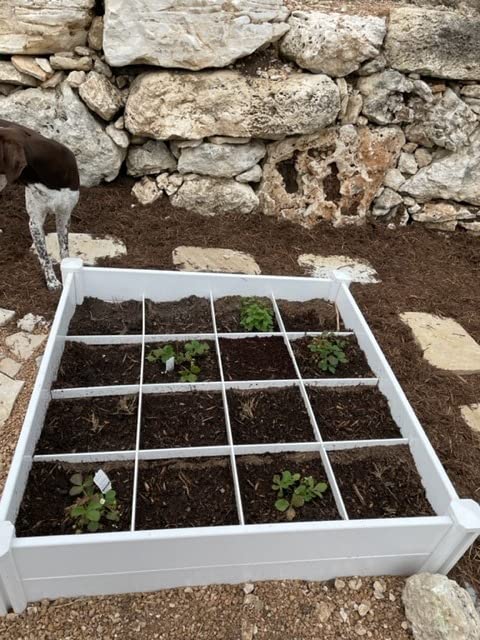 4'x4' Vinyl Raised Garden Bed Kit Outdoor Above Ground Planter Box | Screwless White Vinyl Garden Bed with Grid for Growing Vegetables, Flowers, Herbs, DIY Gardening, Dogs Cats Whelping Pen Box. customer photo 2