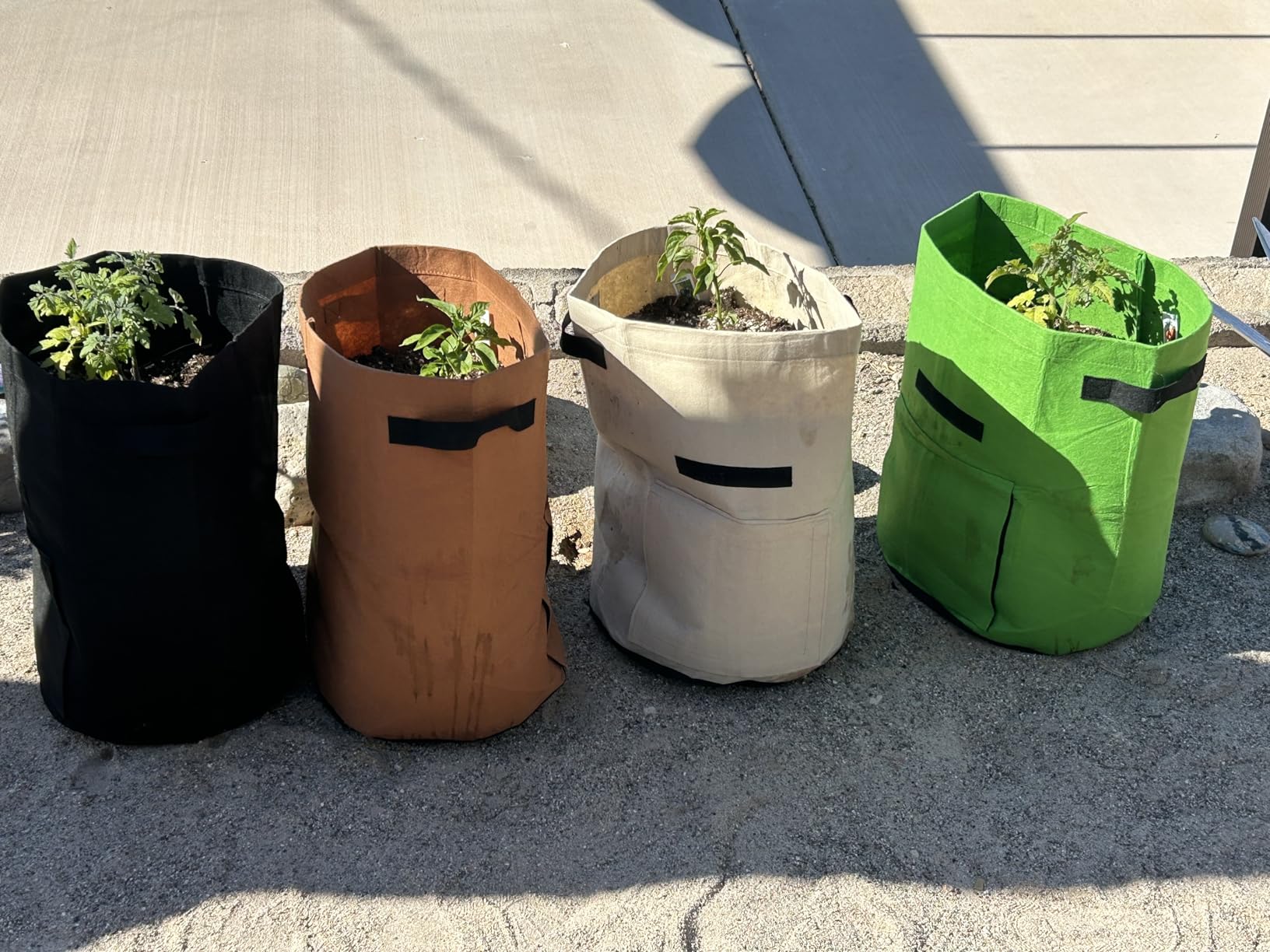 Homyhoo Potato Grow Bags with Flap 10 Gallon, 4 Pack Planter Pot with Handles and Harvest Window for Potato Tomato and Vegetables, Black and Gray customer photo 2