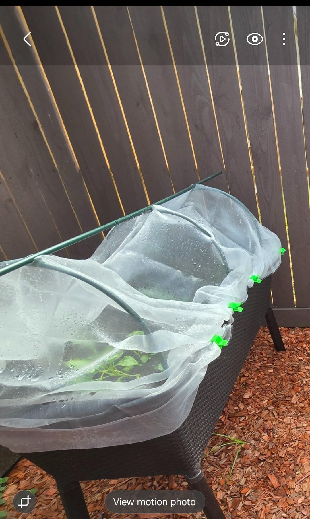 Garden Netting Pest Barrier: 8'x10' Fine Bug Netting | for Protection Row Cover Raised Bed Screen Mesh Greenhouse Mosquito Net, Protecting Tree Plants Vegetable Flowers Fruits customer photo 1