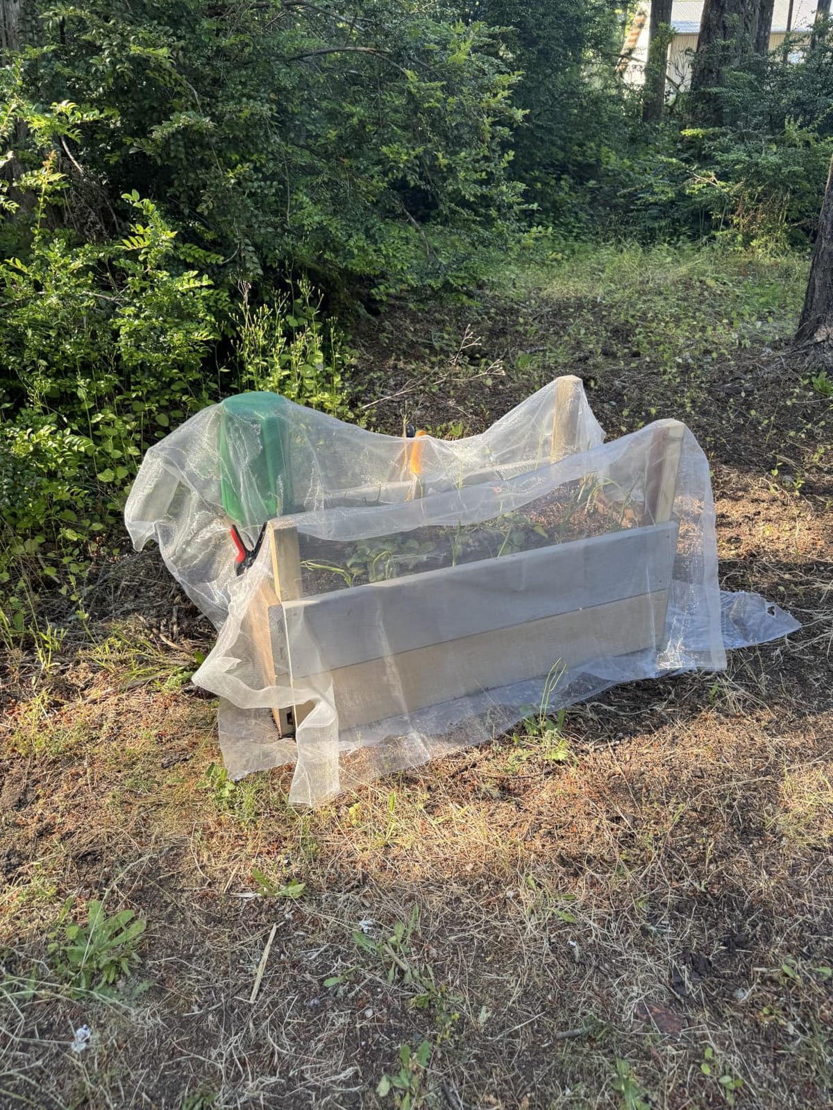 Garden Netting Pest Barrier: 8'x10' Fine Bug Netting | for Protection Row Cover Raised Bed Screen Mesh Greenhouse Mosquito Net, Protecting Tree Plants Vegetable Flowers Fruits customer photo 2