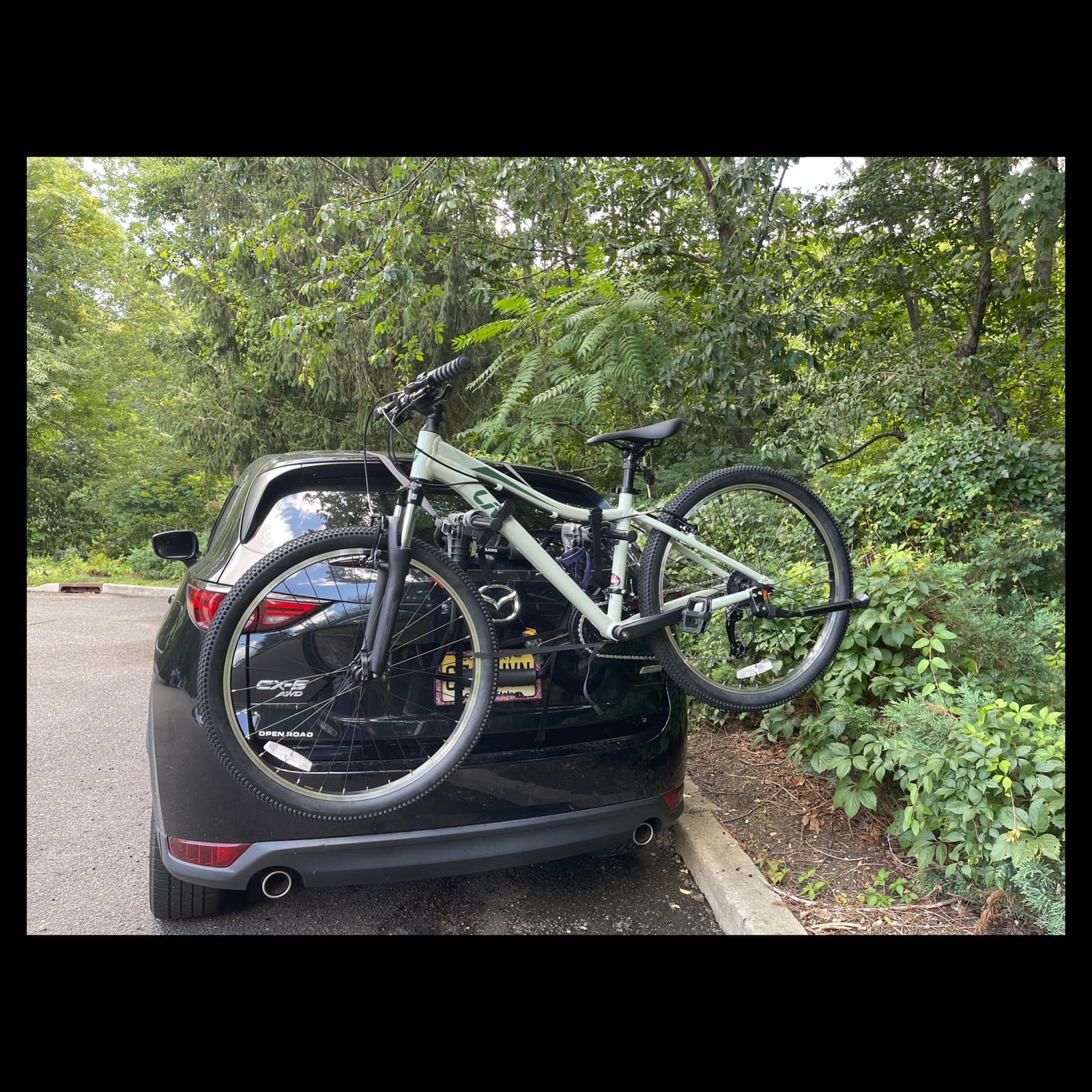 Saris Guardian Trunk Bike Rack – No-Hitch Bicycle Carrier for Car, Sedan, Hatchback, SUV, Van, – Foldable Steel Mount – Easy Installation, American-Made, (35 lbs Each) customer photo 1