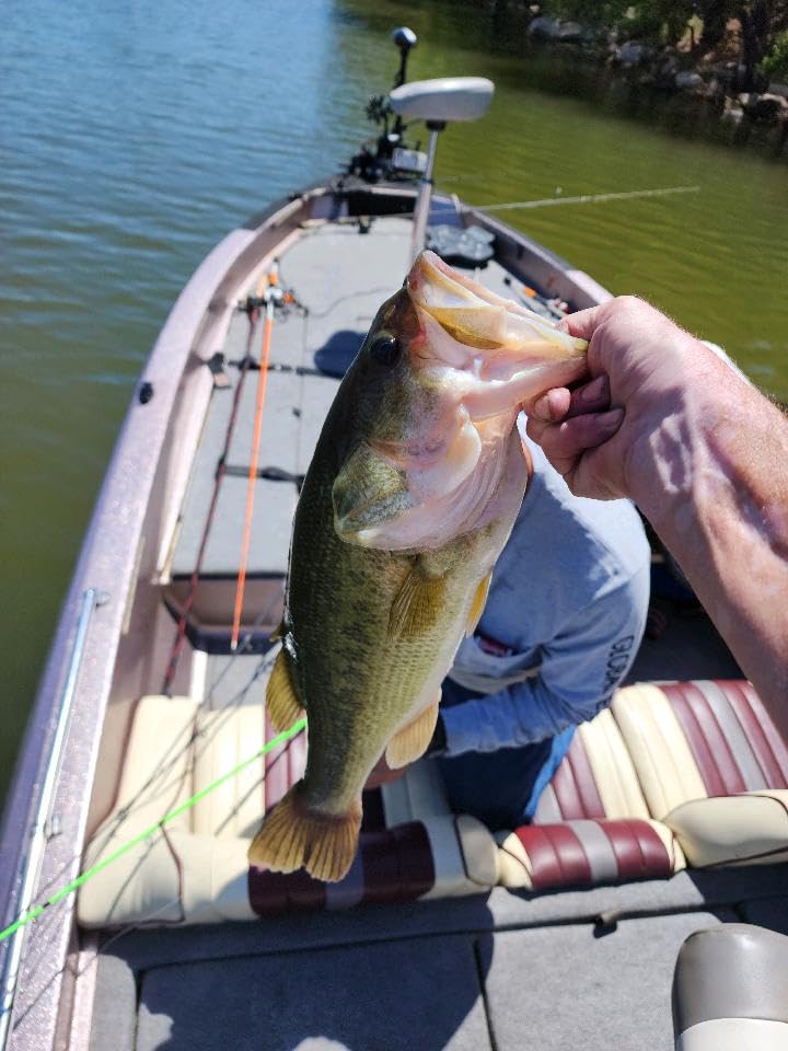 Haswing Bow Mount Trolling Motor 80lbs 54in - Remote & Foot, Quick Release customer photo 2