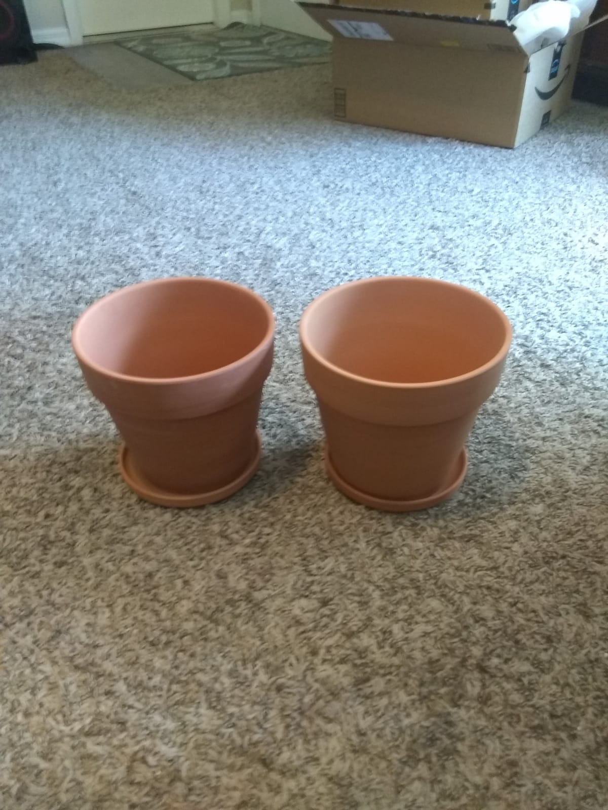 vensovo 8 Inch Clay Pot for Plant with Saucer - 2 Pack Large Terra Cotta Plant Pot with Drainage Hole, Clay Planters Pot, Terracotta Pot for Indoor Outdoor Plant customer photo 2