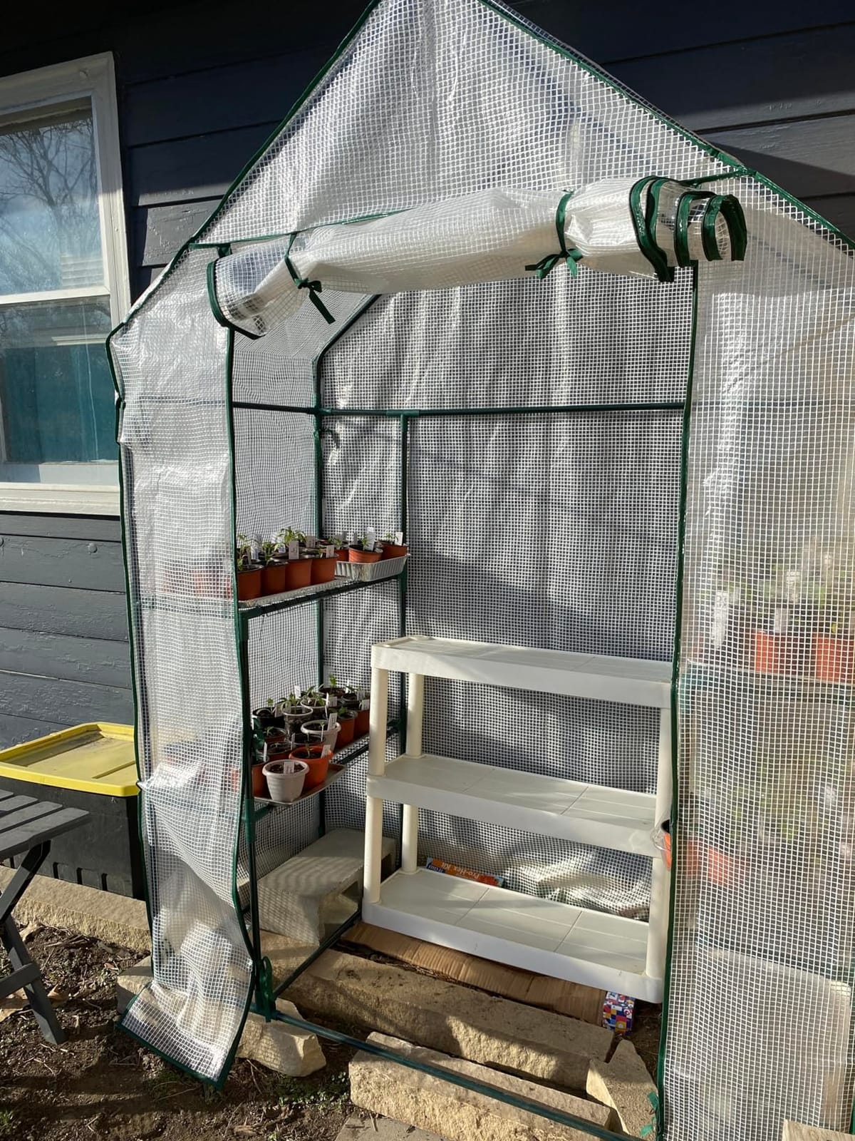 56x30x76 Portable Walk-in Greenhouse for Outdoors, Plant House with Shelves customer photo 1