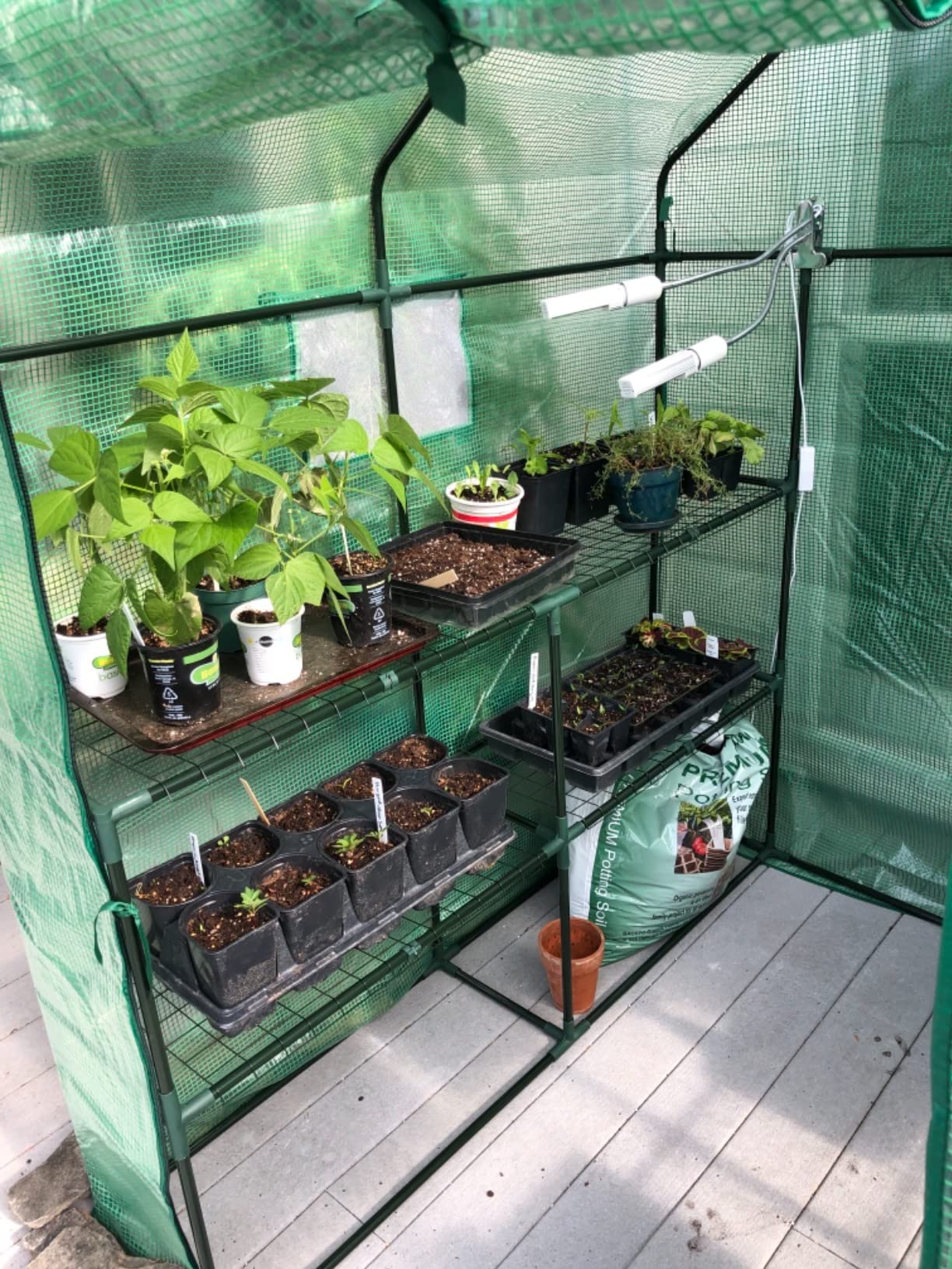 56x30x76 Portable Walk-in Greenhouse for Outdoors, Plant House with Shelves customer photo 2