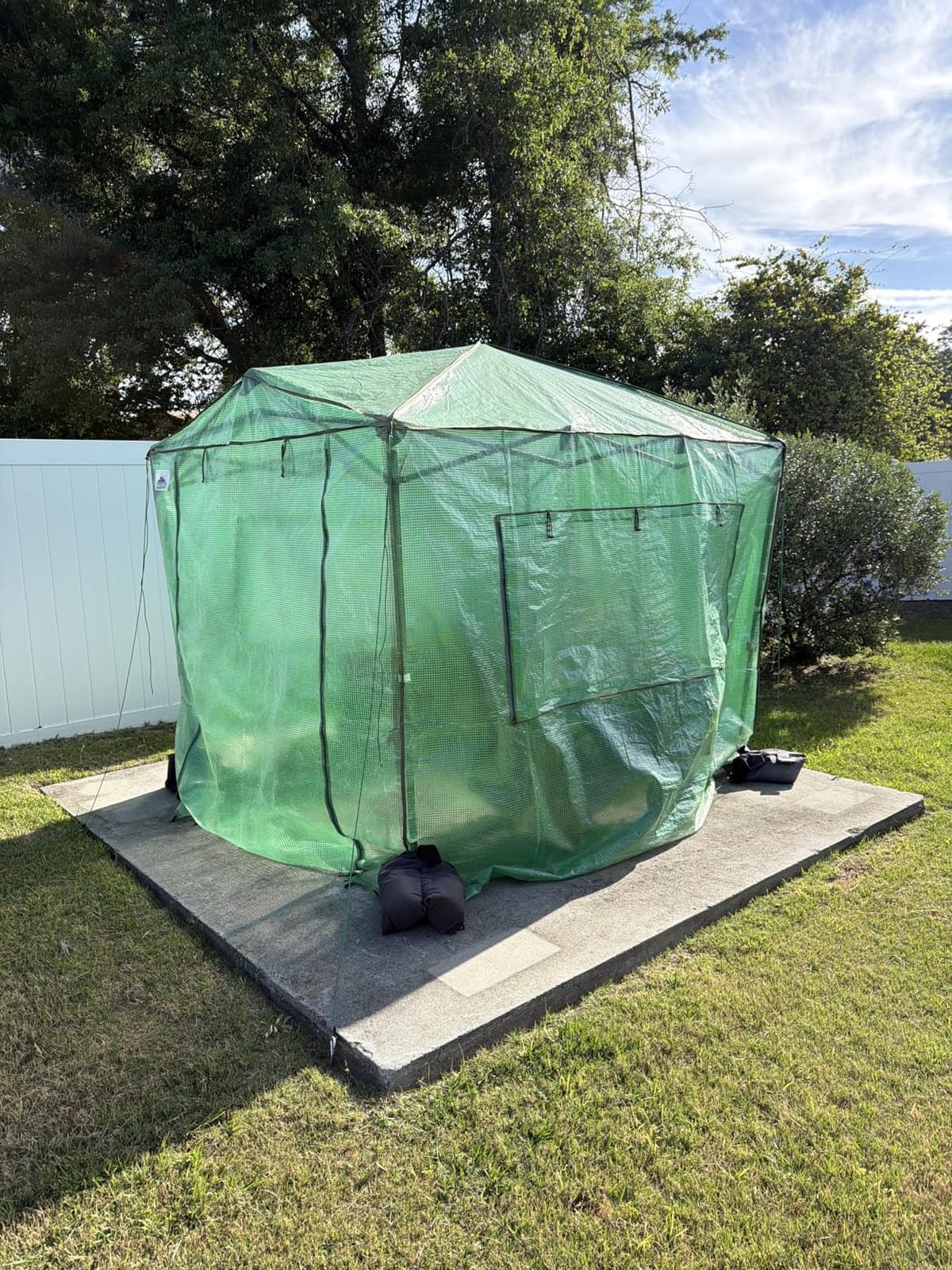 EAGLE PEAK 6x4 Easy Setup Small Pop Up Greenhouse, Clear/Green customer photo 2