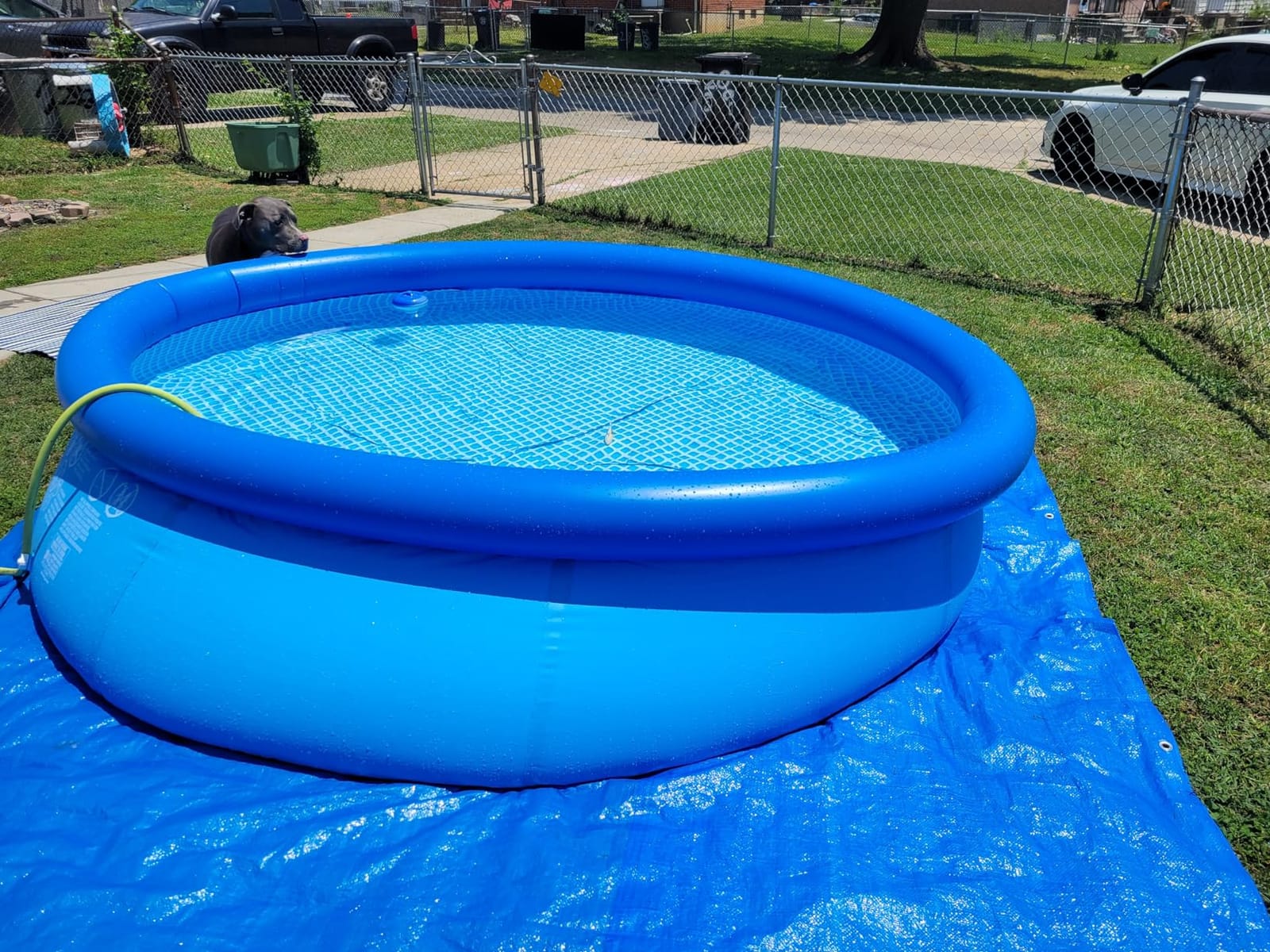 INTEX Easy Set 8ft x 24in Above Ground Pool, Round Inflatable Swimming Pool customer photo 2