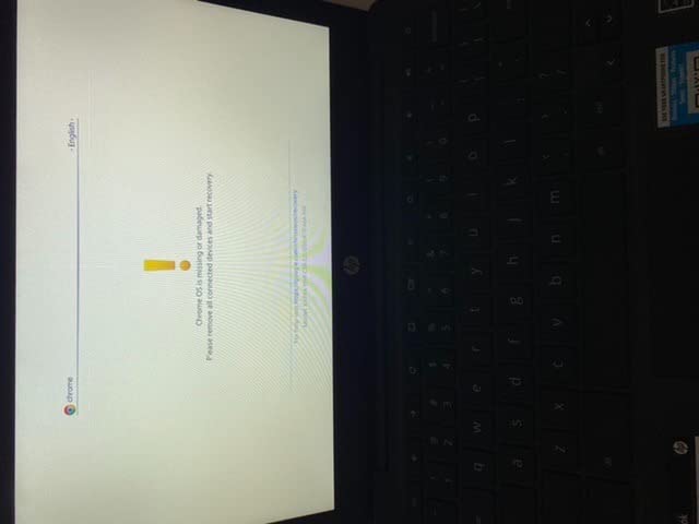 HP Chromebook 11-inch Laptop - MediaTek - MT8183 - 4 GB RAM - 32 GB eMMC Storage - 11.6-inch HD Display - with Chrome OS™ - (11a-na0010nr, 2020 model) customer photo 2