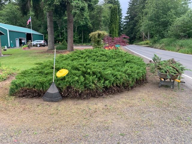 MZK 20V Cordless Hedge Trimmer, Bush & Shrub Cutter, 22-Inch Blade customer photo 2