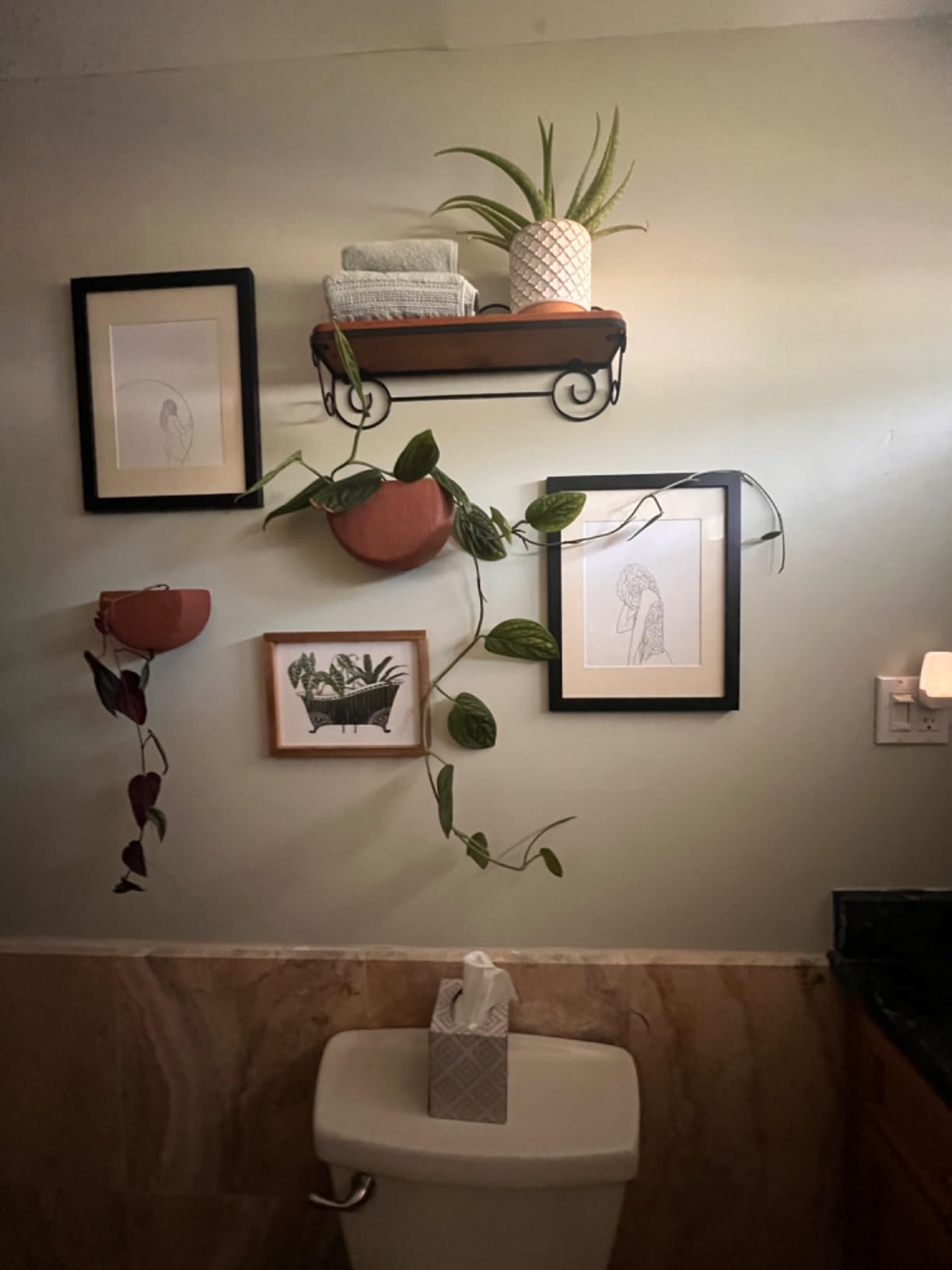 Main + Mesa Modern Boho Stoneware Wall Mount Planters, Terracotta, Set of 2 Sizes customer photo 1