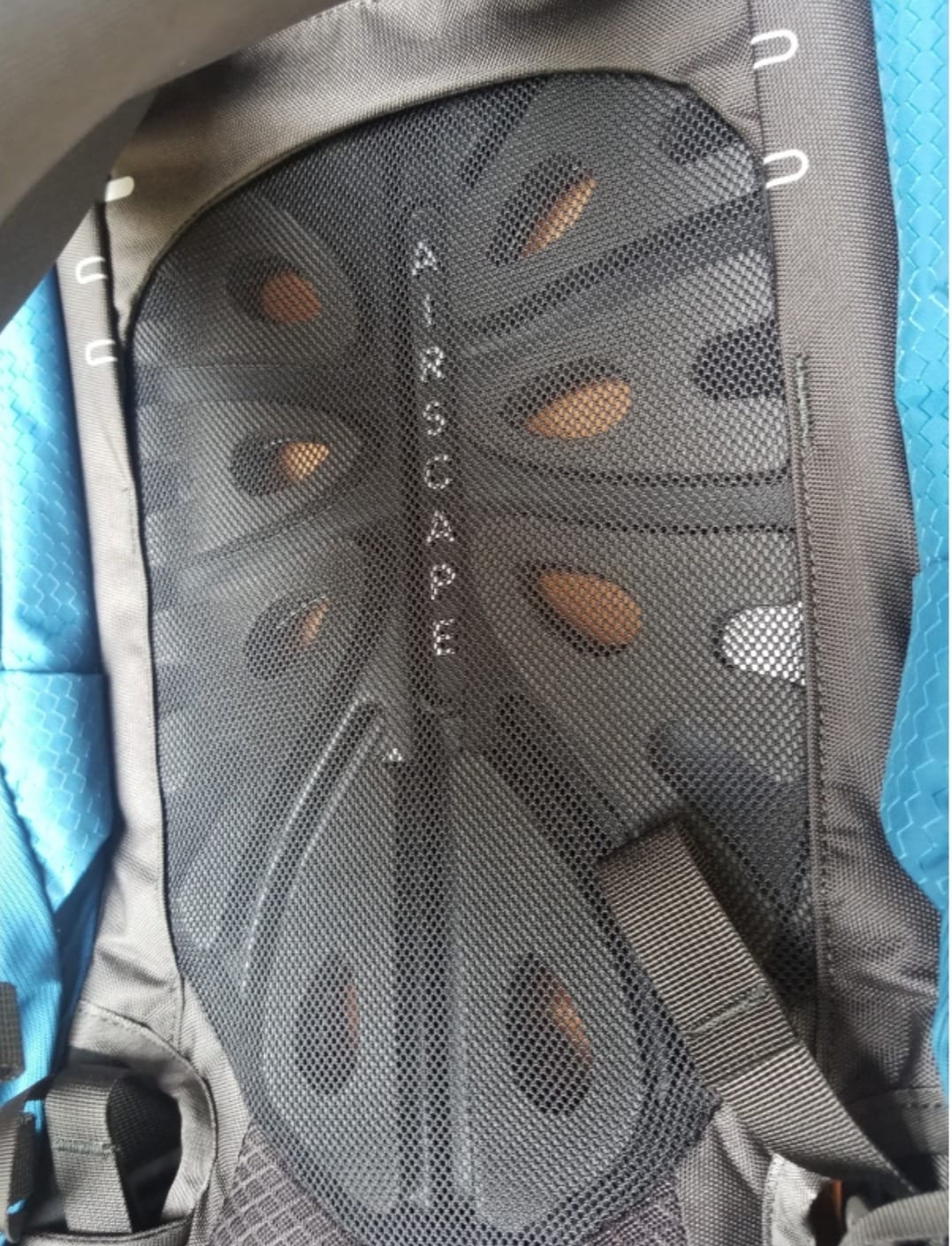 Osprey Aether 65L Men's Backpacking Backpack, Green L-XL customer photo 1