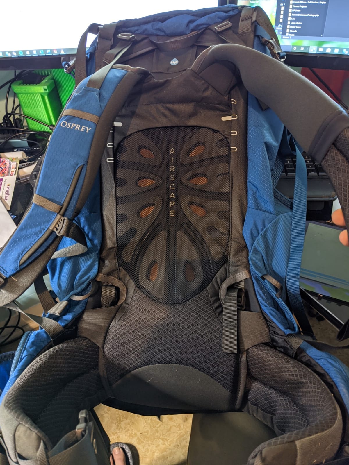 Osprey Aether 65L Men's Backpacking Backpack, Green L-XL customer photo 2