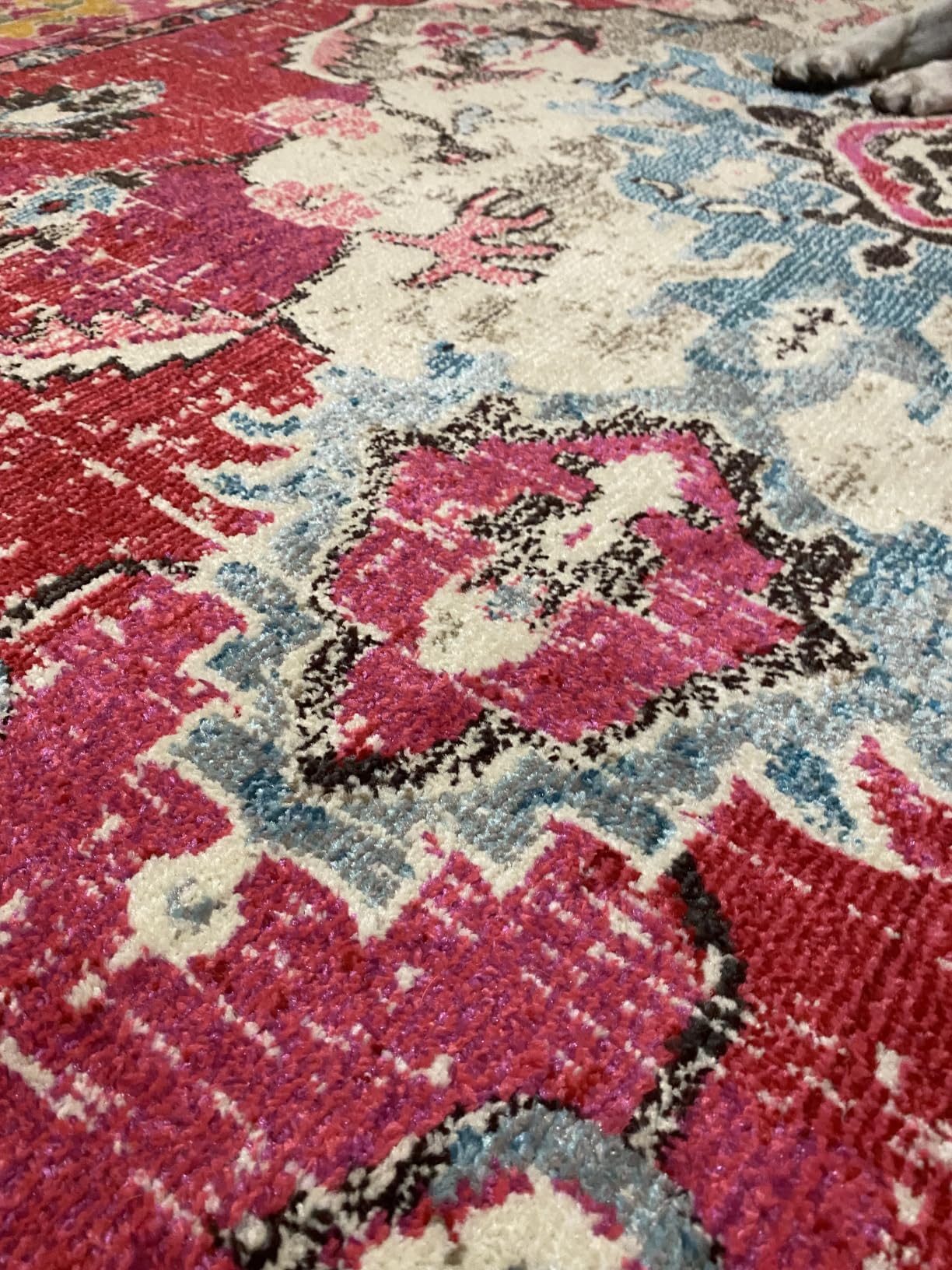 SAFAVIEH Monaco Area Rug 8x10 Large, Light Blue & Ivory MNC243K customer photo 1