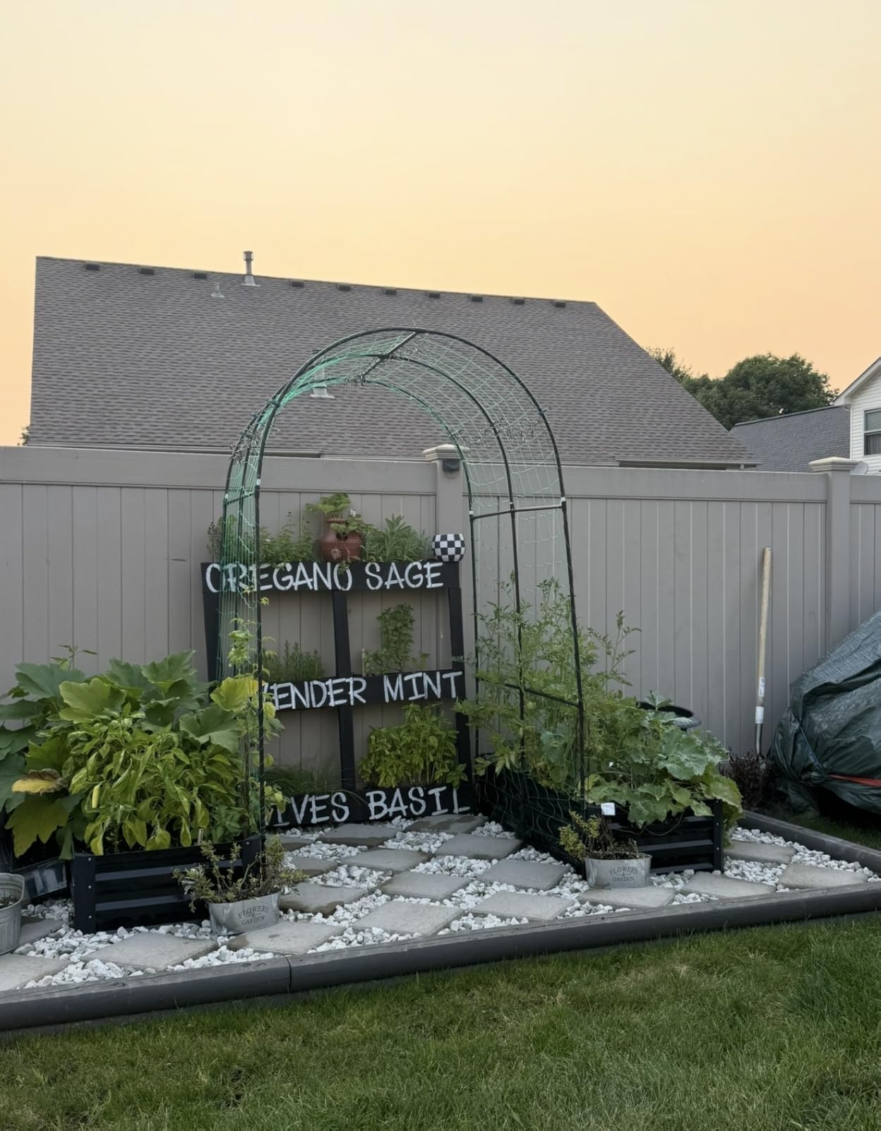 Sereniseed Certified Organic Herb Seeds 10-Pack | Non-GMO Heirloom Variety for Indoor Outdoor Culinary Gardening Gift Kit customer photo 1