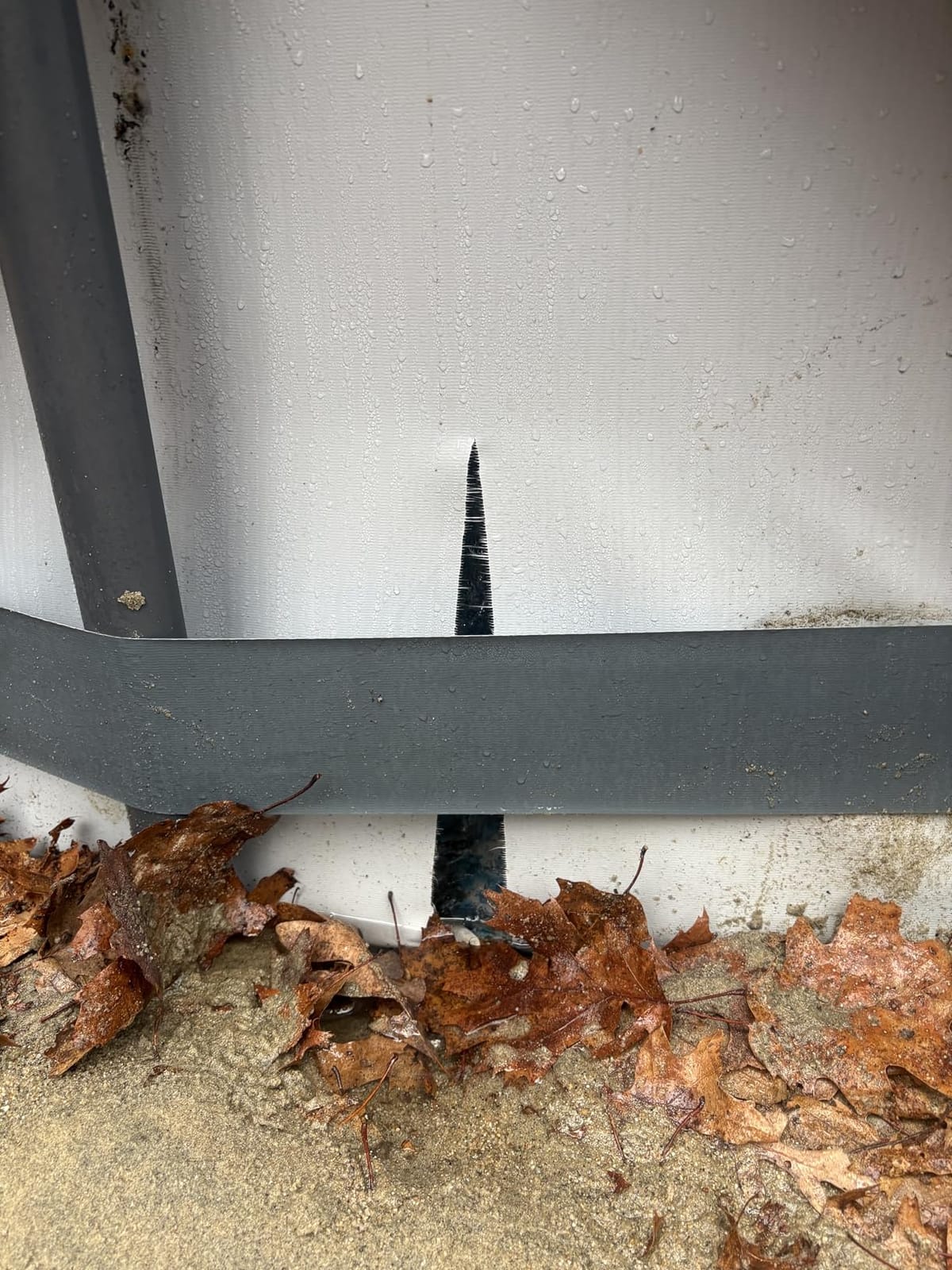Bestway Steel Pro MAX 14' x 48