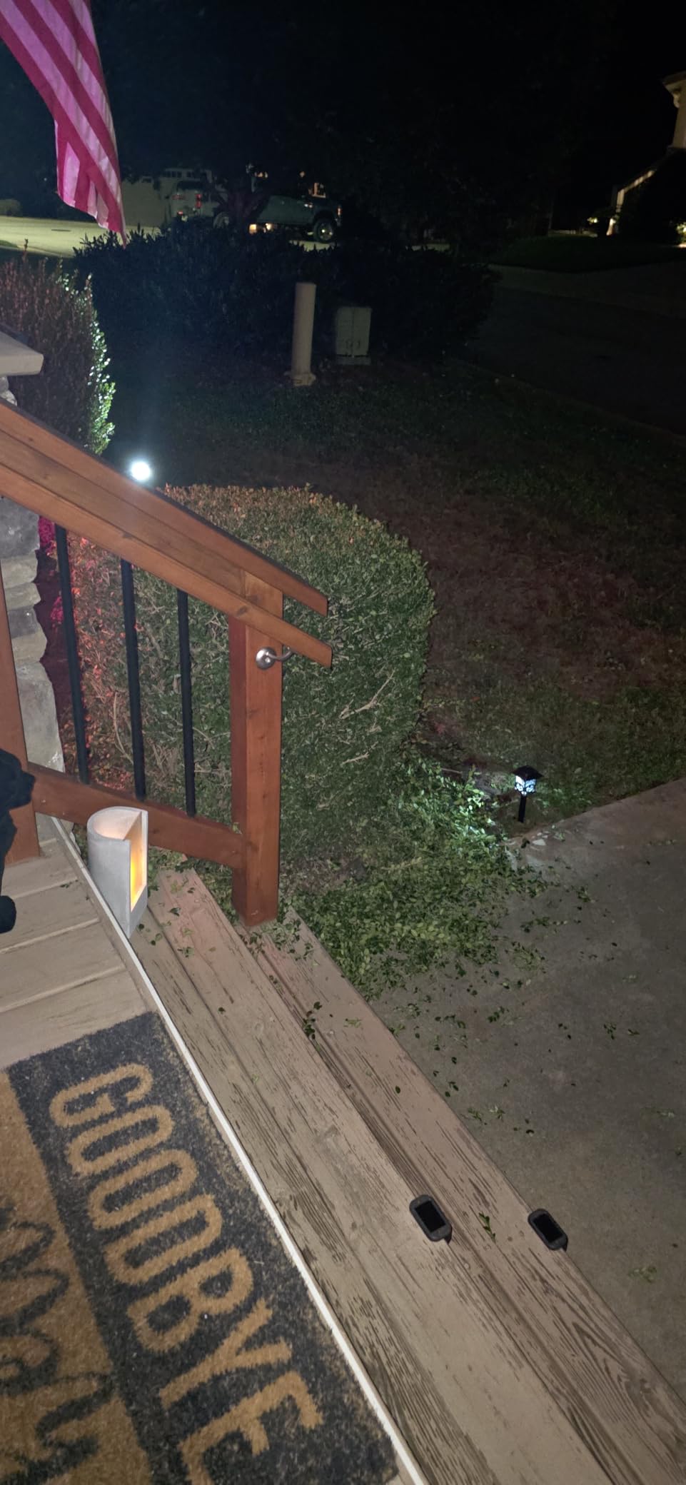 SnapFresh Cordless Grass Shear Bush Trimmer, 2 in 1 Handheld Hedge Trimmer, 7.2V Electric Grass Trimmers, Lightweight Shrubbery Trimmers Battery & Charger Included, Shrub Trimmer for Garden(Green) customer photo 1