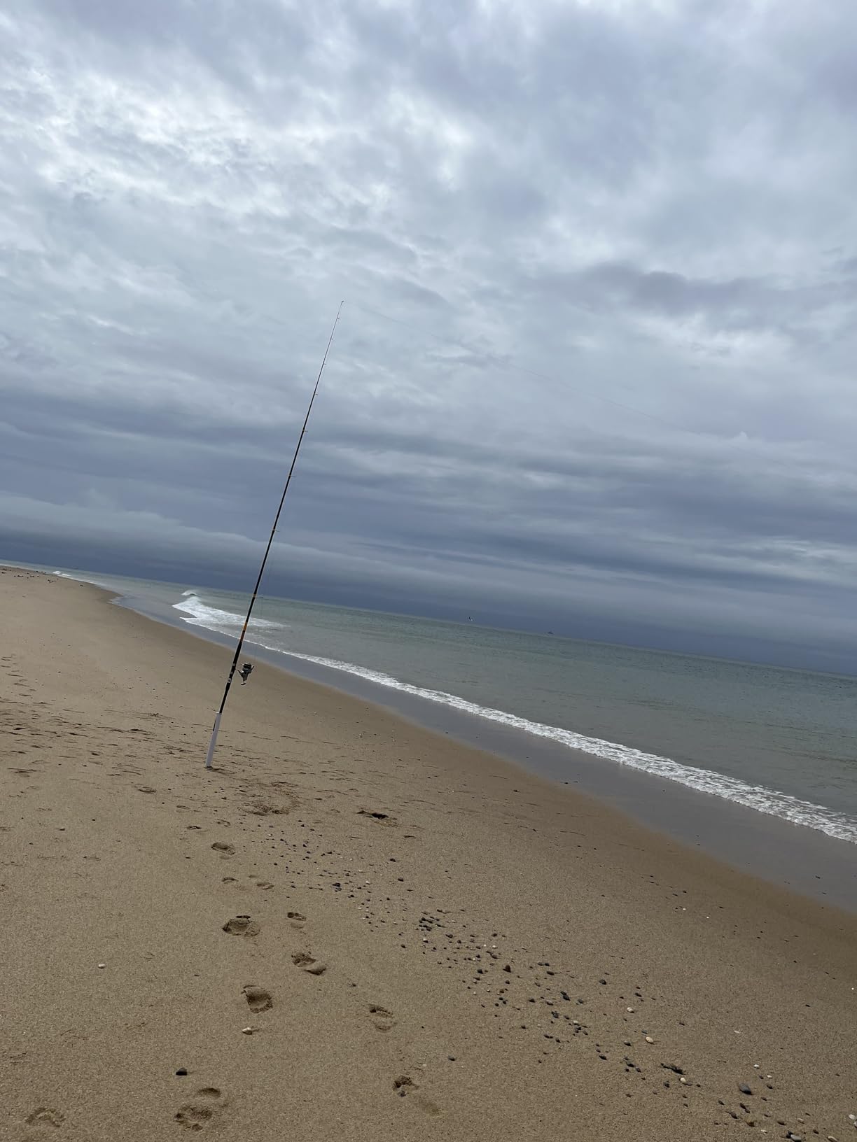 Ugly Stik Bigwater Spinning Fishing Rod customer photo 1