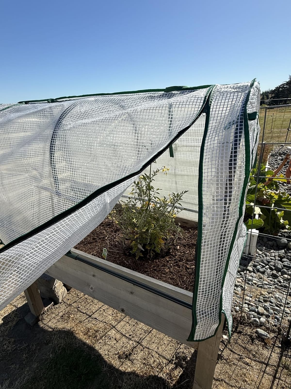 VIVOSUN Portable Mini Greenhouse 47x23x23-Inch Tunnels, PE Cover with Roll-up Zipper Door, for Indoor Outdoor or Garden Plant Growing, White customer photo 2
