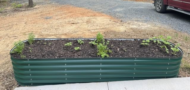 Vego garden Raised Garden Bed Kit, 17