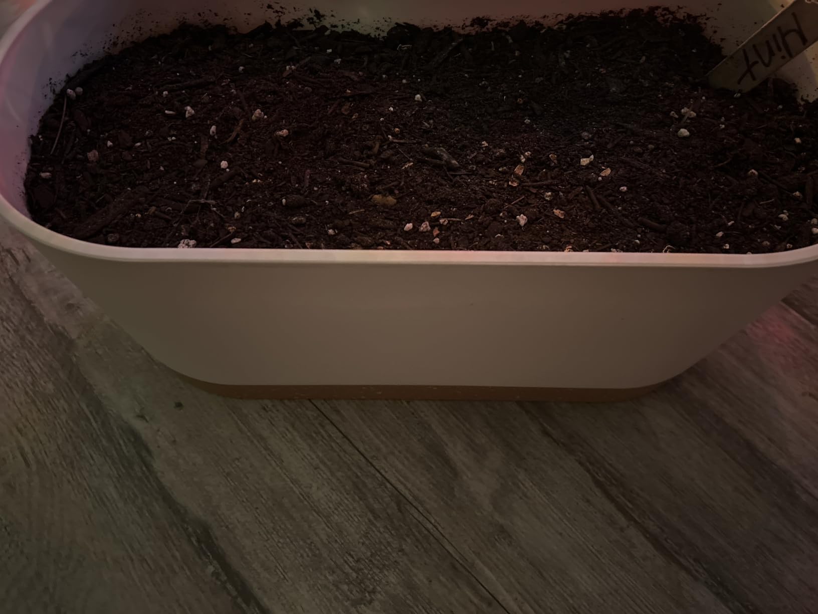 QCQHDU 8 inch Plant Pot, 2 Pack Planters for Indoor Plants with Drainage Holes & Saucer, Outdoor Flower Pots Home Garden Modern Decor customer photo 2