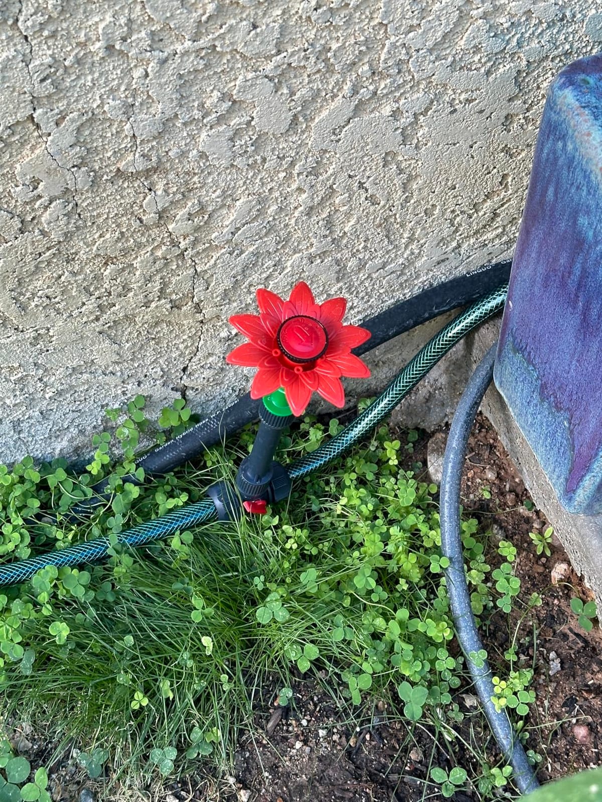 Eden 97065 Daisy Above-Ground 50 Ft Garden Hose and Sprinkler System, DIY Plant Watering Set customer photo 2