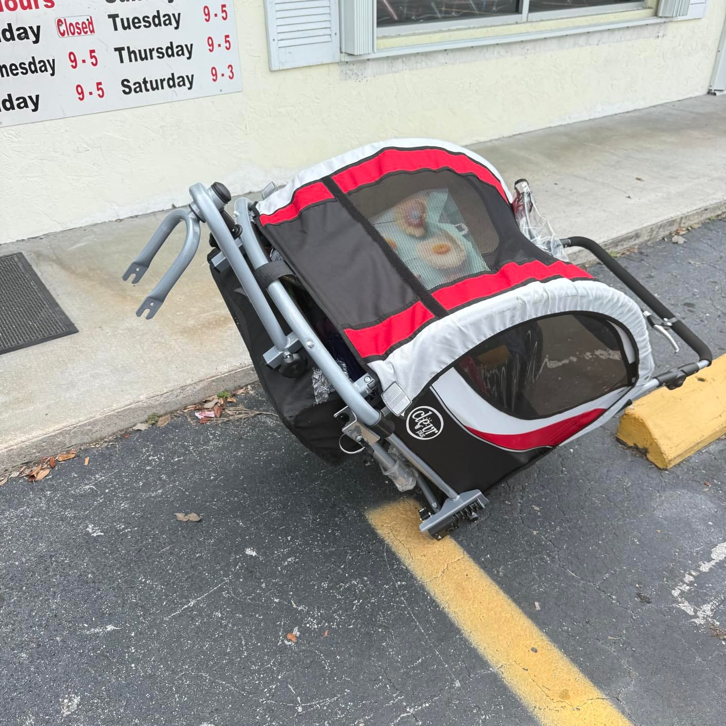 ClevrPlus Deluxe 3-in-1 Double 2 Seat Bicycle Bike Trailer Jogger Stroller for Kids Children | Foldable Collapsible w/Pivot Front Wheel customer photo 1