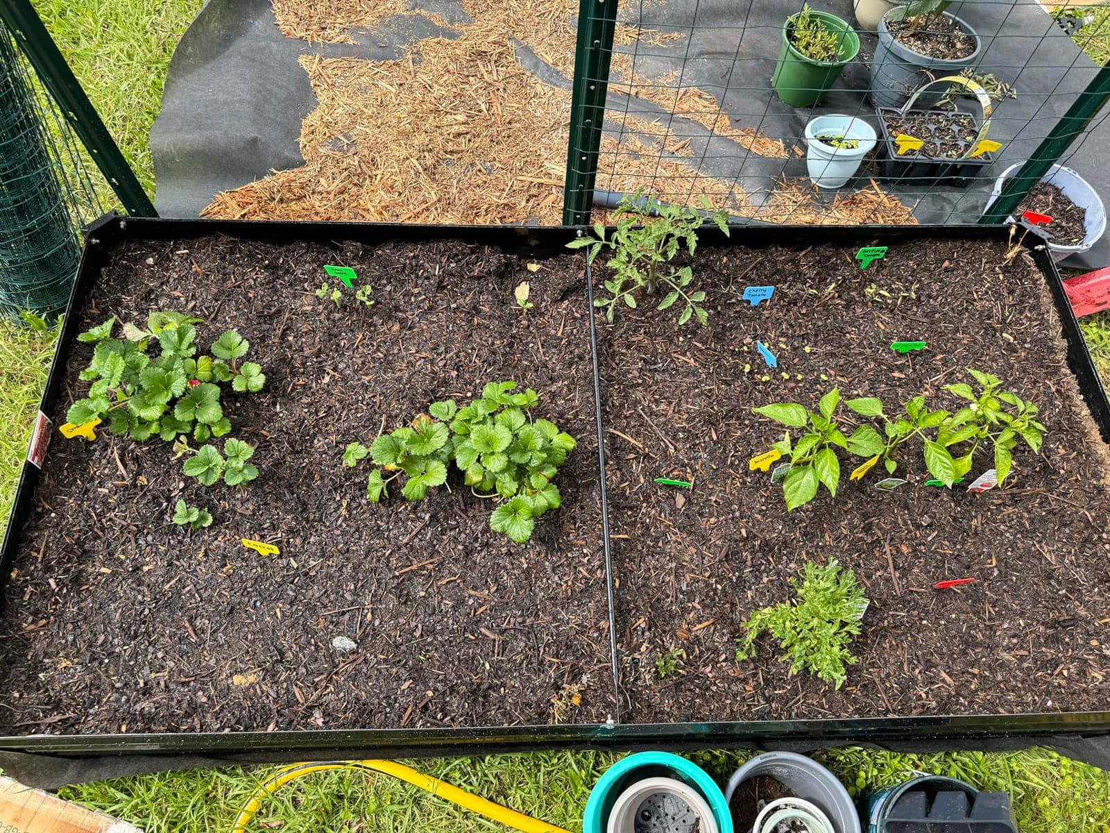 ONCEMORE Galvanized Raised Garden Bed for Vegetables Flowers Herbs, Metal Raised Garden Bed Kit with 2 PCS Tomato Cage, Gloves, Trellis Netting, Plant Labels, Plant Ties, Black 8×4×1FT customer photo 1