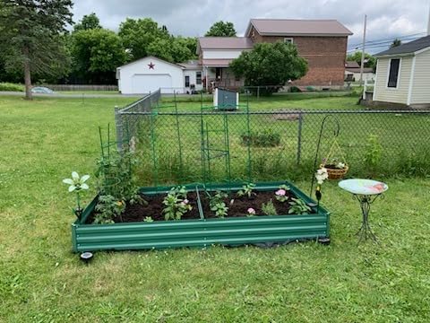 ONCEMORE Galvanized Raised Garden Bed for Vegetables Flowers Herbs, Metal Raised Garden Bed Kit with 2 PCS Tomato Cage, Gloves, Trellis Netting, Plant Labels, Plant Ties, Black 8×4×1FT customer photo 2