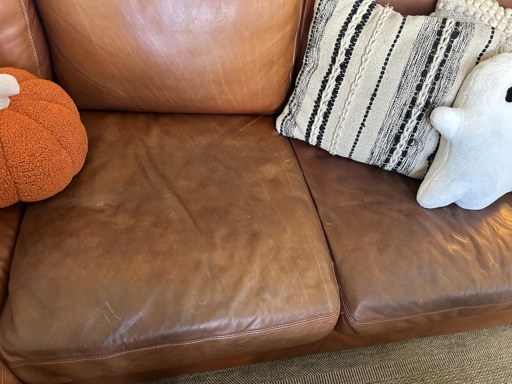 Leather Honey Complete Leather Care Kit - Non-Toxic, Made in USA | Trusted Since 1968 customer photo 1