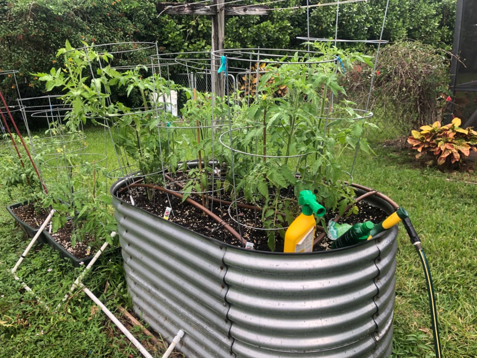 Best Choice Products 63in Oval Metal Raised Garden Bed, Customizable Outdoor Deep Root Backyard Planter, Stackable Design for Gardening, Vegetables, Flowers, Herbs w/ 275 Gallon Capacity - Silver customer photo 2