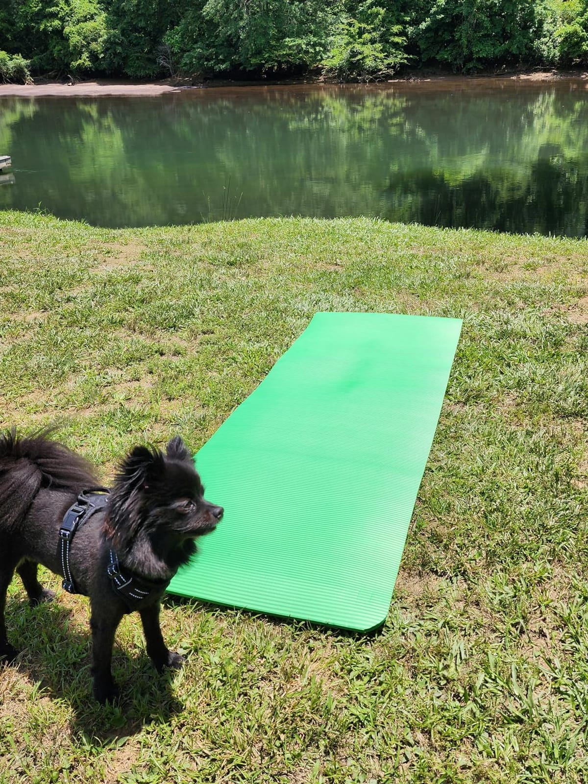 Fitvids All Purpose 1/2-Inch Extra Thick High Density Anti-Tear Exercise Yoga Mat and Knee Pad with Carrying Strap and Optional Yoga Blocks, Multiple customer photo 1