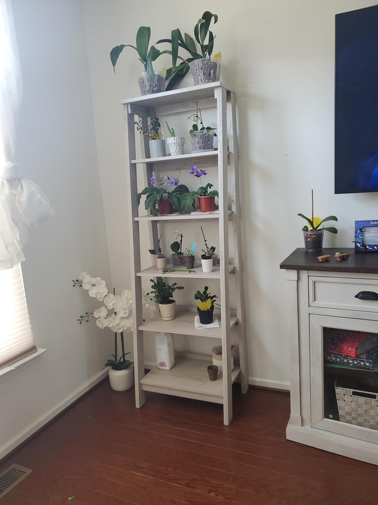 Sauder Ladder Bookshelf 5 Tier Trestle Ladder Shelf Wooden Bookcase, in Mystic Oak customer photo 2