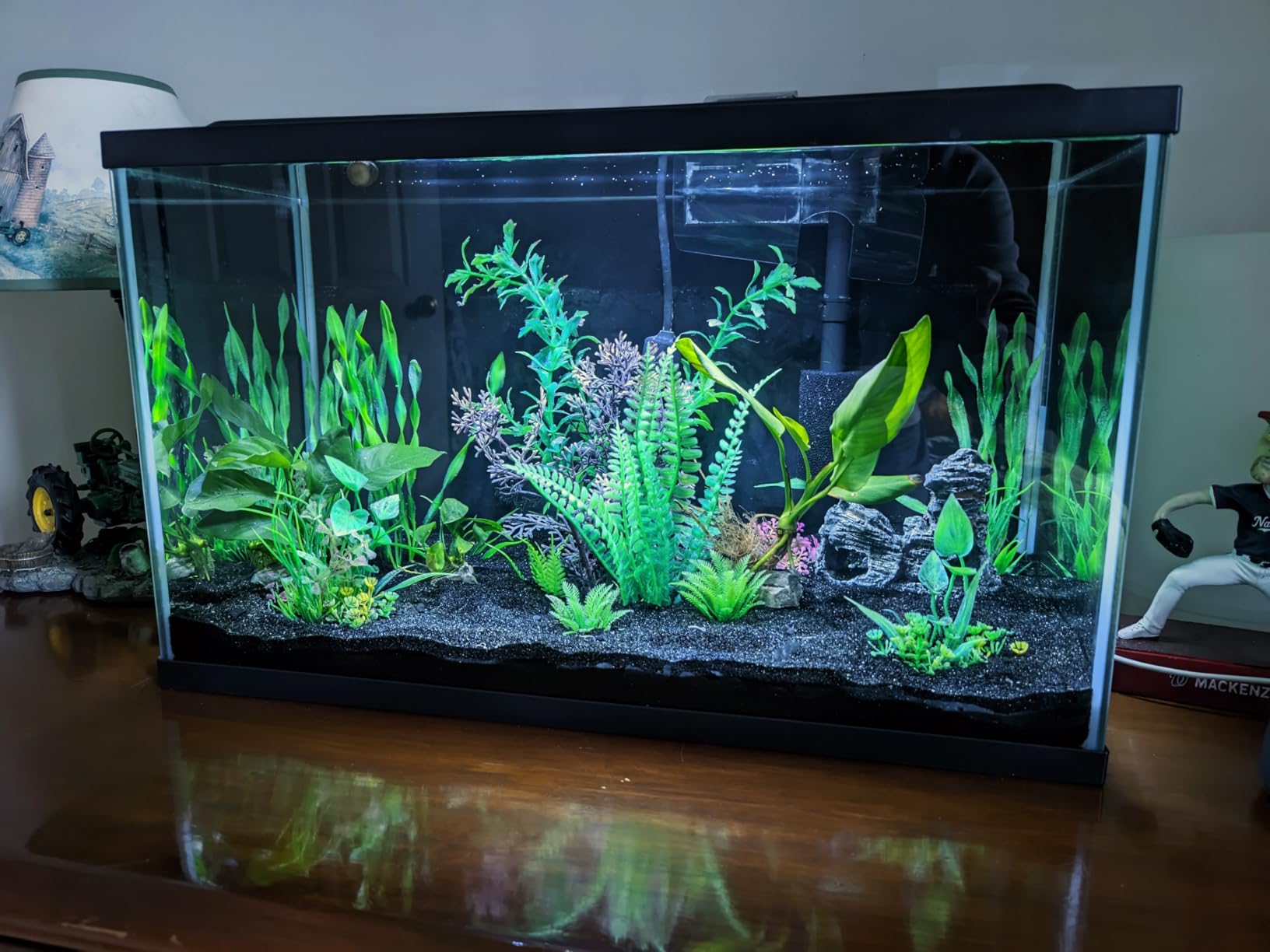 Tetra Complete 29 Gallon Fish Tank Kit for Freshwater & Saltwater Fish customer photo 1