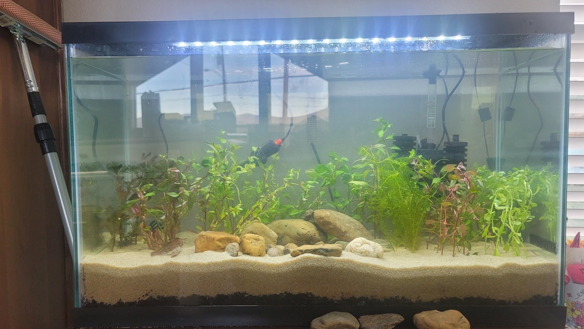 Tetra Complete 29 Gallon Fish Tank Kit for Freshwater & Saltwater Fish customer photo 2