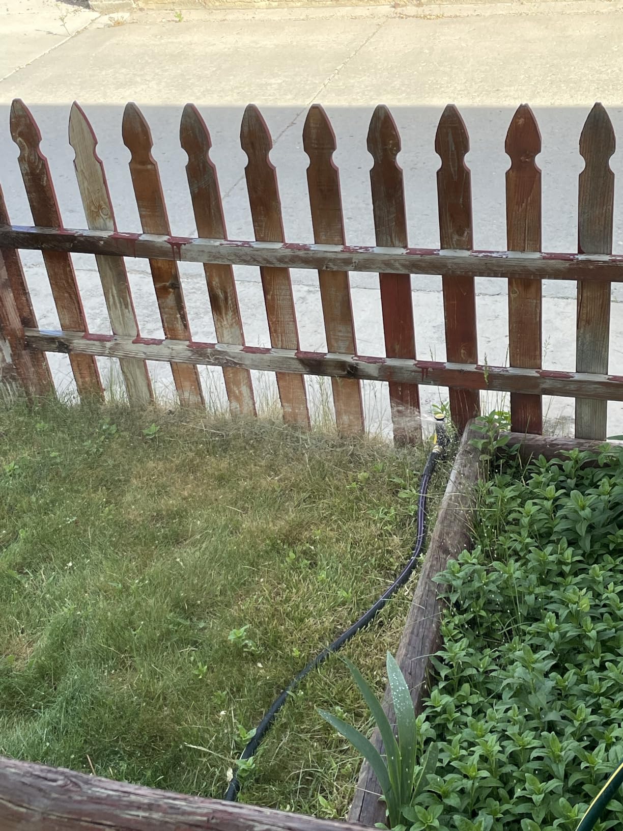 Melnor Multi-Adjustable Watering Set, 1800 Sq Ft: 3 Sprinklers, 2 Hoses customer photo 1