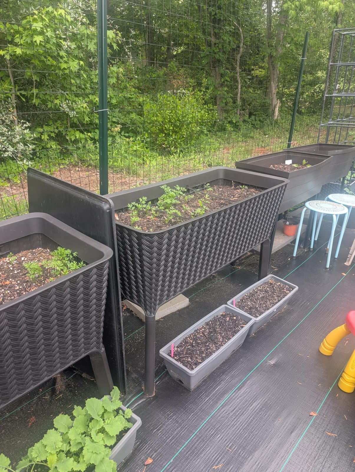 Keter Splendor 31.7 Gallon Raised Garden Bed with Self Watering Planter Box and Drainage Plug-Perfect for Growing Fresh Vegetables, Flowers and Herbs, Brown customer photo 2