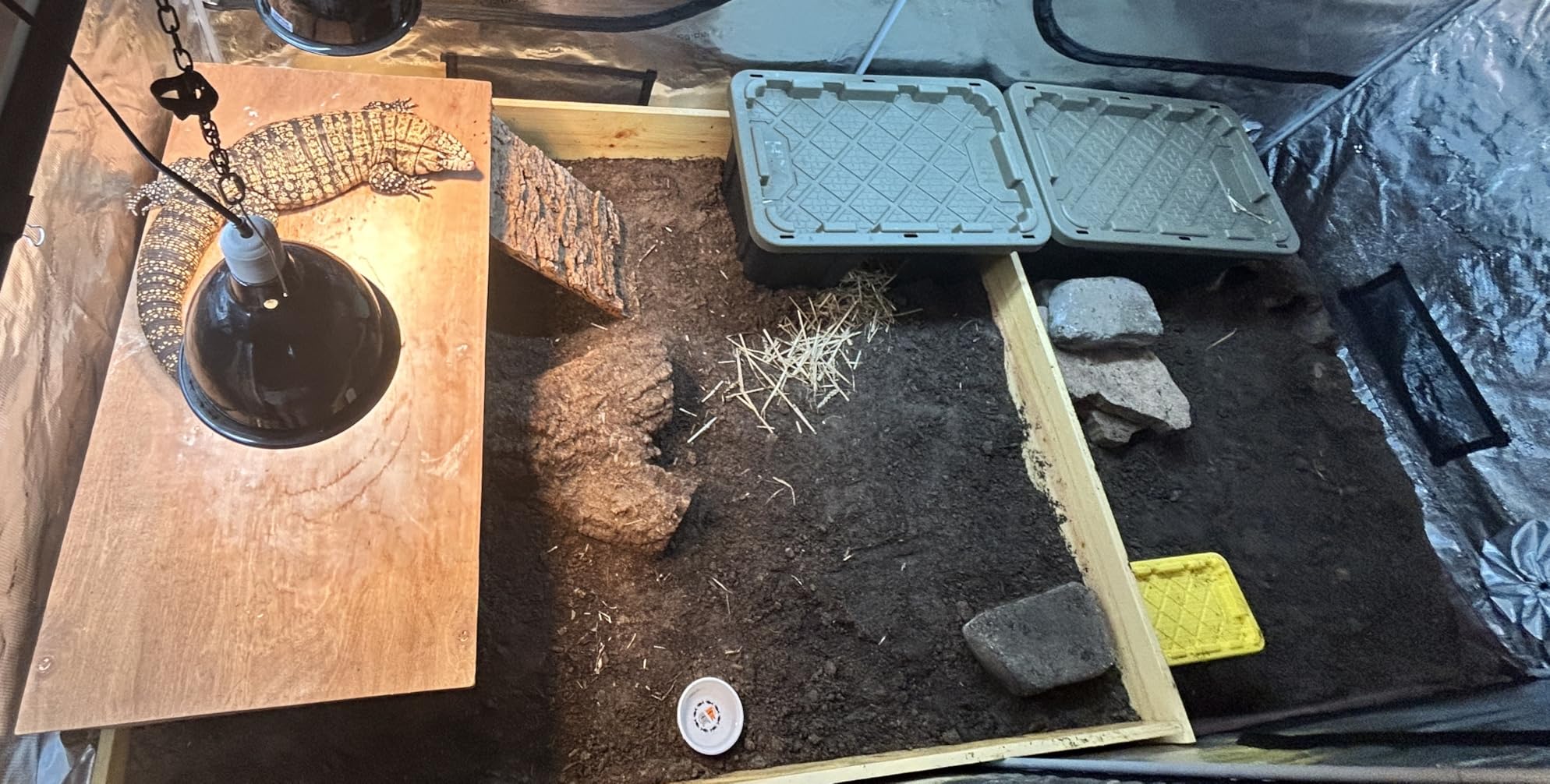 Spider Farmer 2x2x6 Grow Tent 24