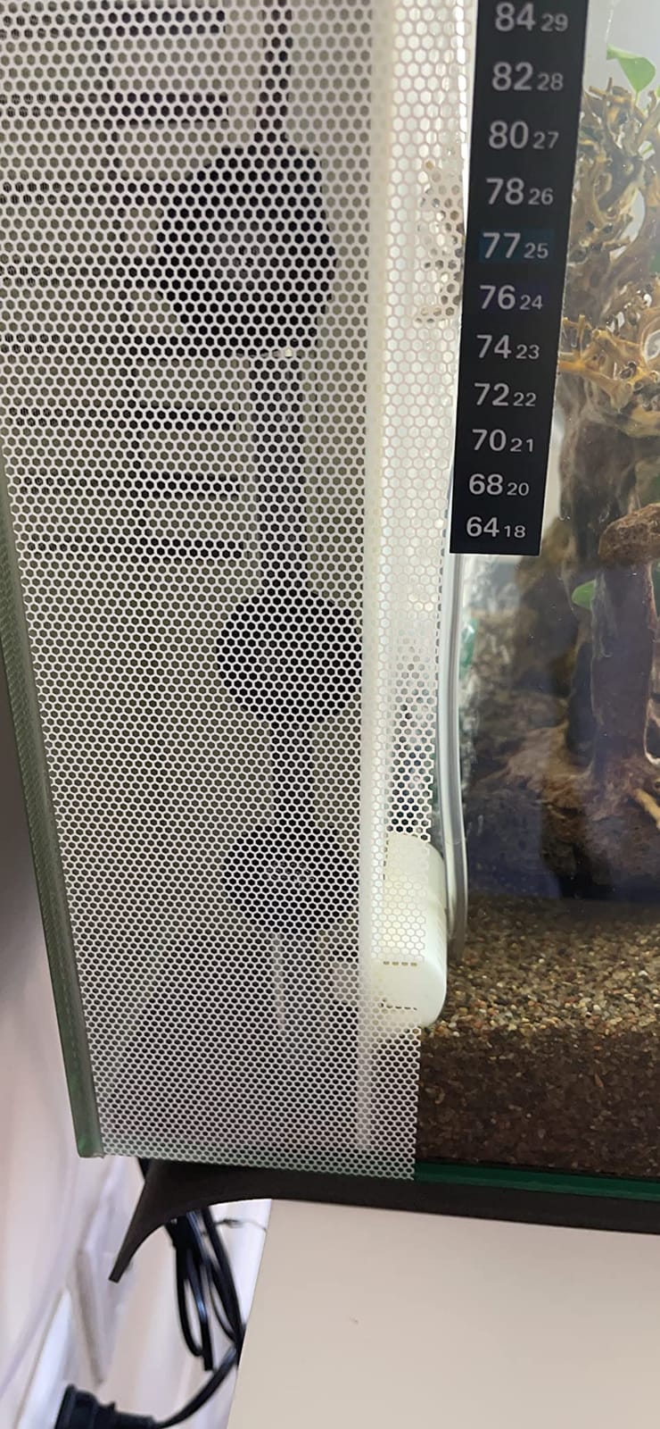 HITOP Compact Submersible Aquarium Heater - 100W Digital Heater for Fish Tank Turtle Tank, for Saltwater and Fresh Water with Temperature Controller customer photo 1