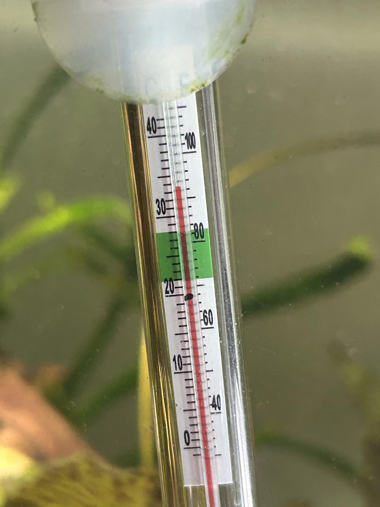 HITOP Compact Submersible Aquarium Heater - 100W Digital Heater for Fish Tank Turtle Tank, for Saltwater and Fresh Water with Temperature Controller customer photo 2