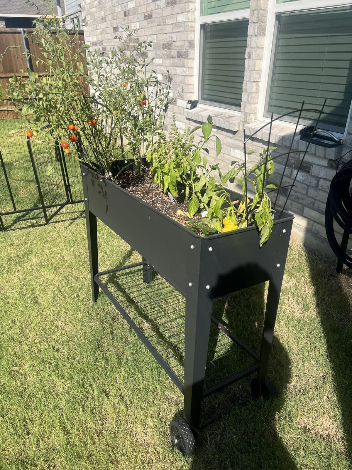LEETOLLA 𝐑𝐚𝐢𝐬𝐞𝐝 𝐆𝐚𝐫𝐝𝐞𝐧 𝐁𝐞𝐝 𝐎𝐮𝐭𝐝𝐨𝐨𝐫 Elevate Herb Garden Planter Box Outdoor Raised Planter Box with Legs On Wheels for Vegetables Flower Tomato Patio Backyard customer photo 1