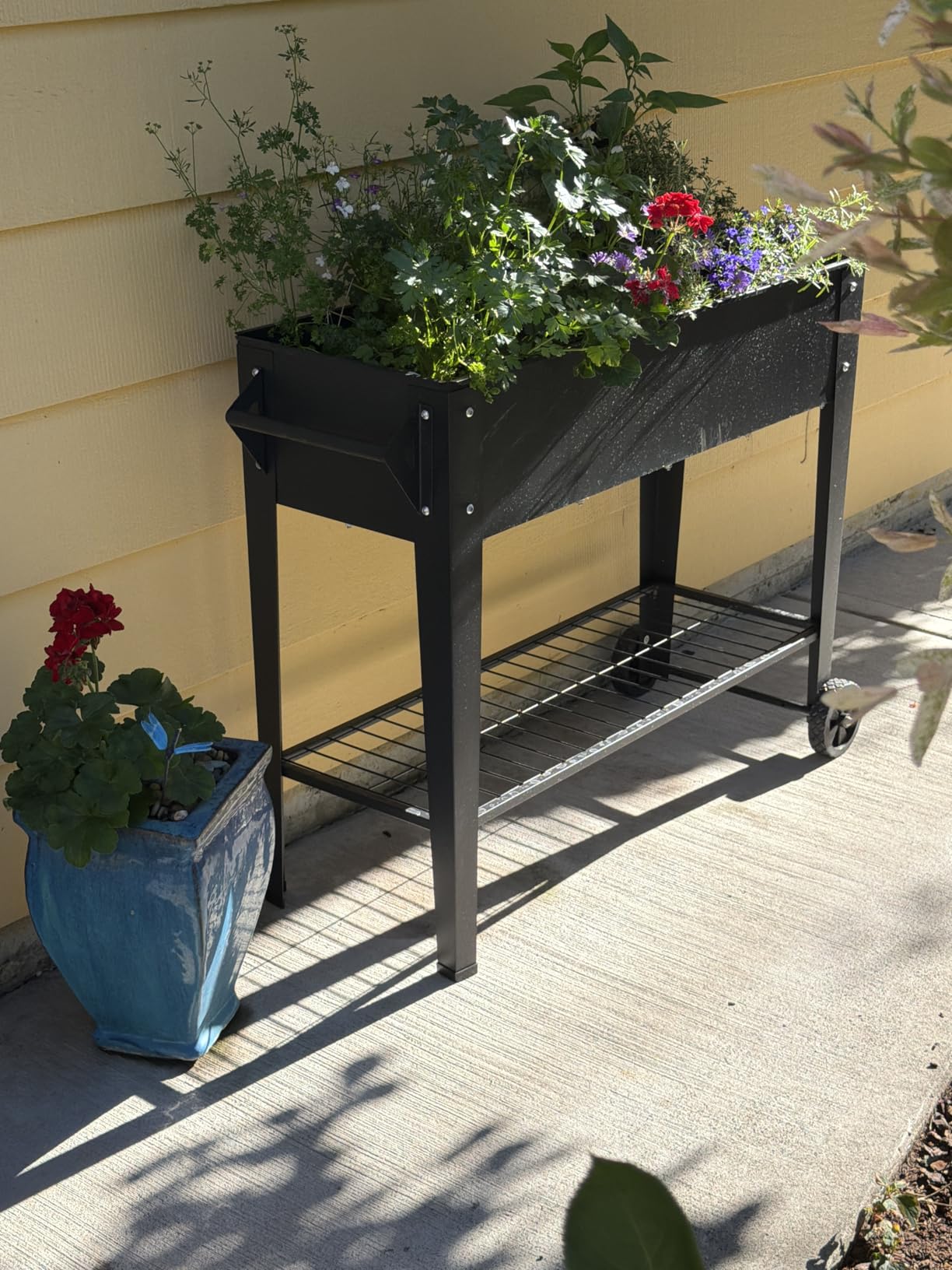 LEETOLLA 𝐑𝐚𝐢𝐬𝐞𝐝 𝐆𝐚𝐫𝐝𝐞𝐧 𝐁𝐞𝐝 𝐎𝐮𝐭𝐝𝐨𝐨𝐫 Elevate Herb Garden Planter Box Outdoor Raised Planter Box with Legs On Wheels for Vegetables Flower Tomato Patio Backyard customer photo 2