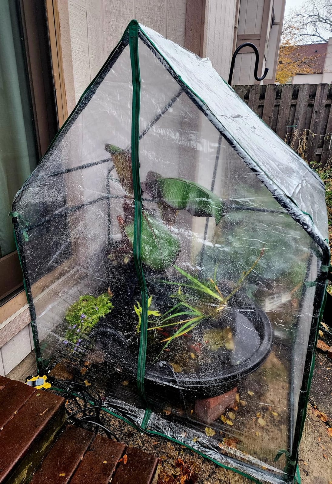 Gardzen Mini Greenhouse 36.2”(L) x36.2”(W) x42.5”(H) customer photo 1